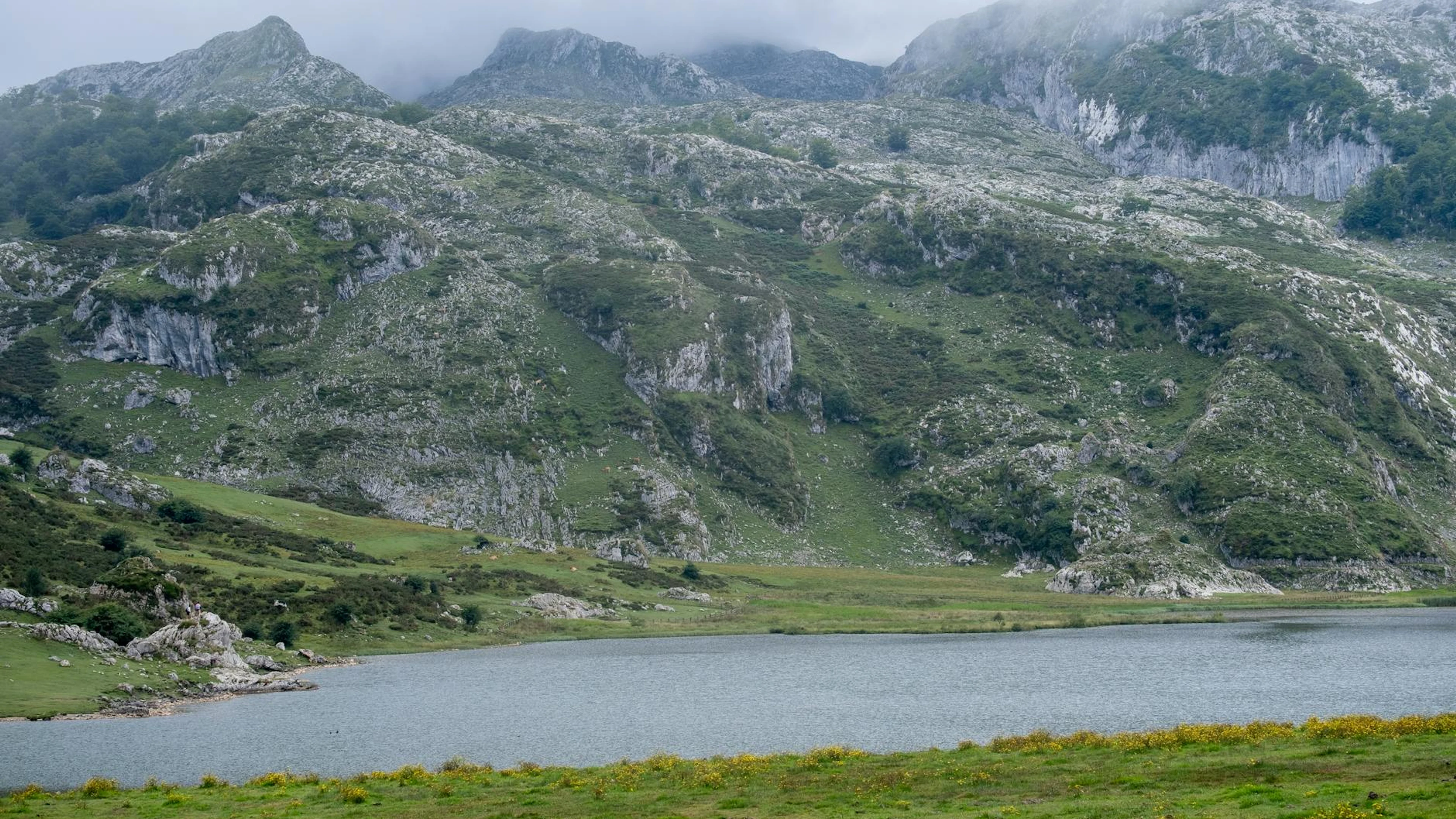 A tranquil mountain lake with misty hills and cloudy skies, capturing natural be - free 4K Ultra HD lake wallpaper for desktop