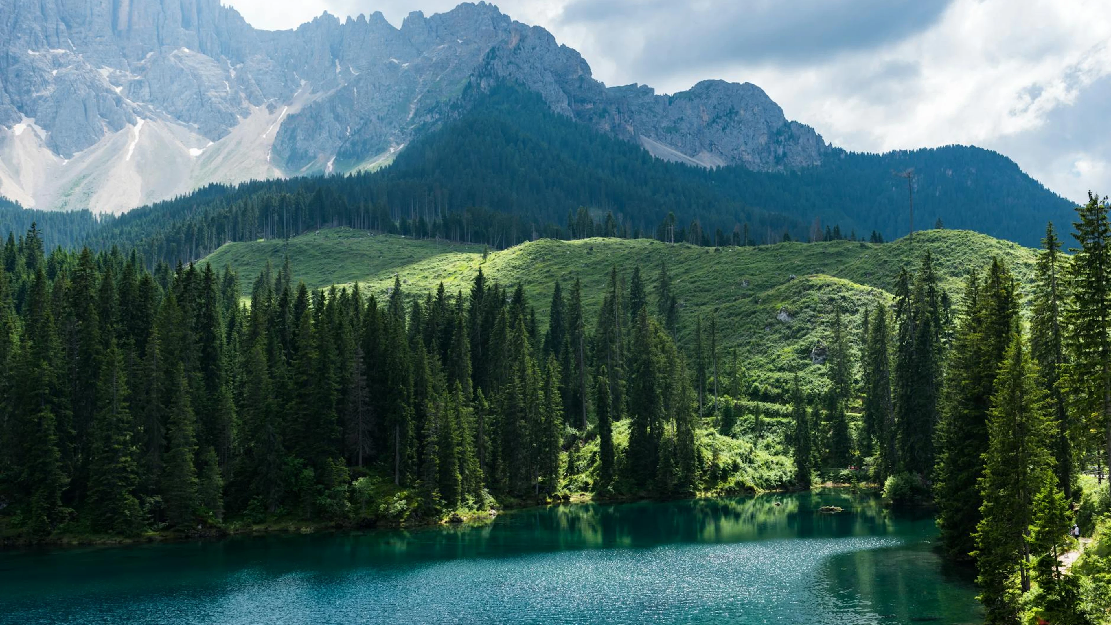 Breathtaking landscape of Lago di Carezza with lush forests and Dolomites in Ita - free 4K Ultra HD lake wallpaper for desktop