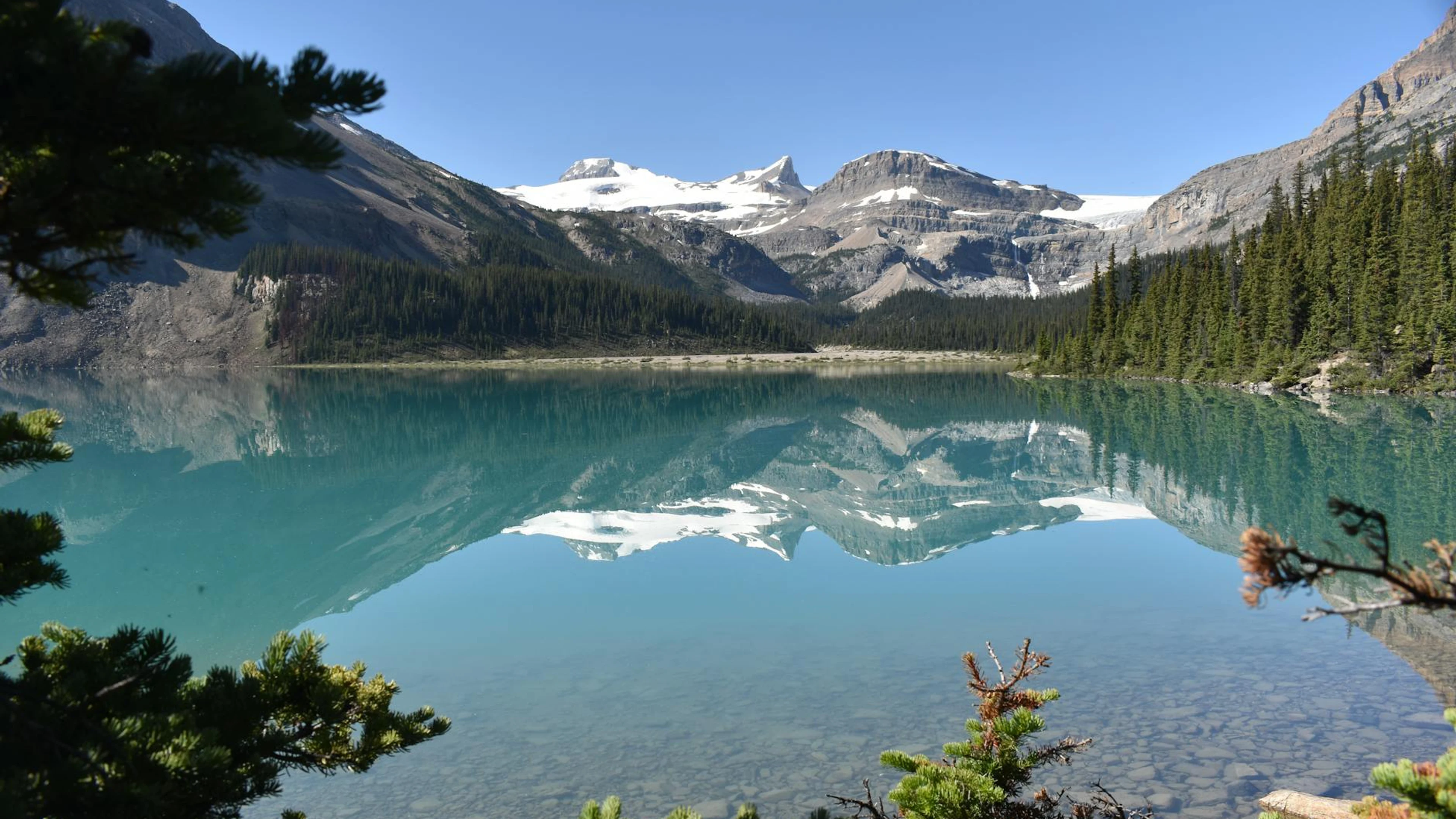 Clear alpine lake reflects mountains and trees under a bright blue sky. - free 4K Ultra HD lake wallpaper for desktop