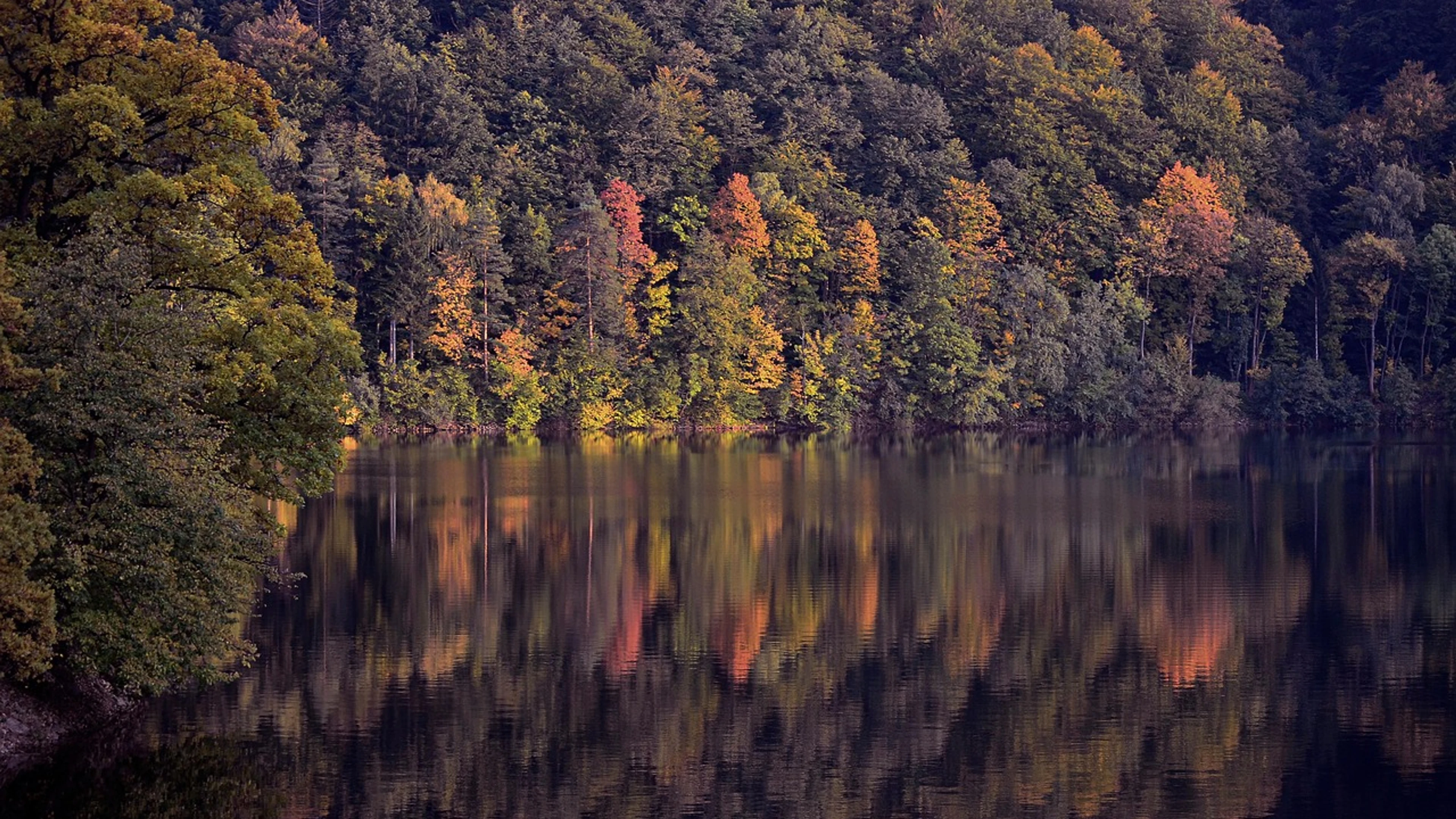 Forest nature lake - free 4K Ultra HD lake wallpaper for desktop