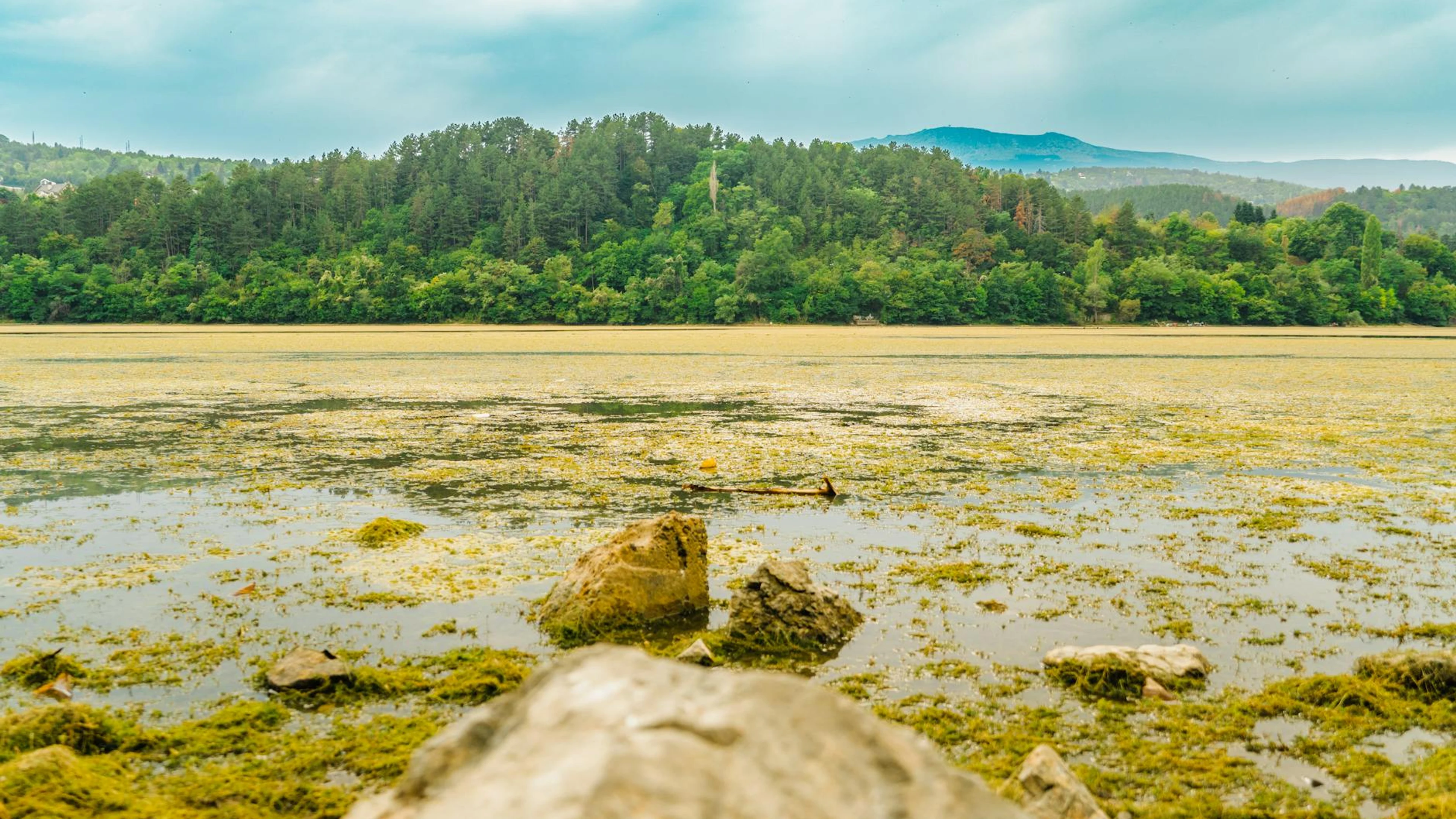 Peaceful forest lake surrounded by lush greenery in Sofia, Bulgaria, under a blu - free 4K Ultra HD lake wallpaper for desktop