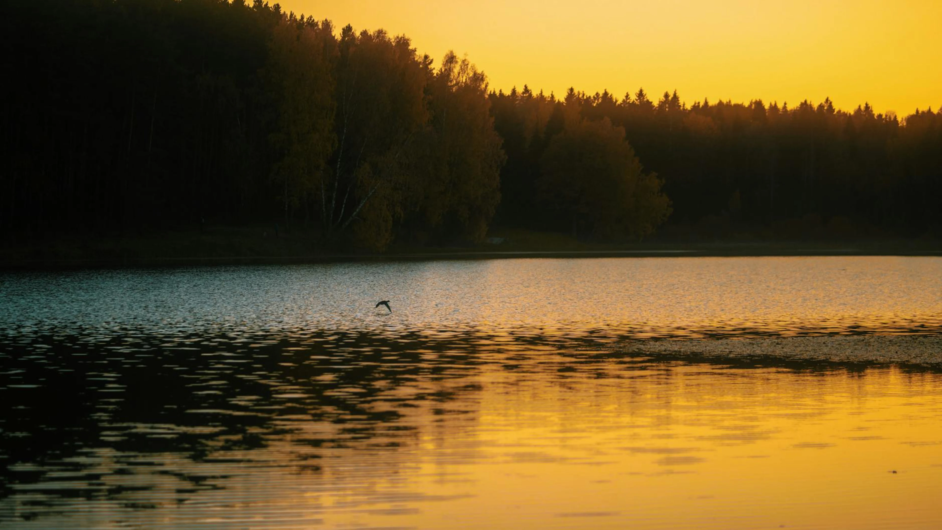 Serene lake view during sunset with golden reflections on the water and a distan - free 4K Ultra HD lake wallpaper for desktop