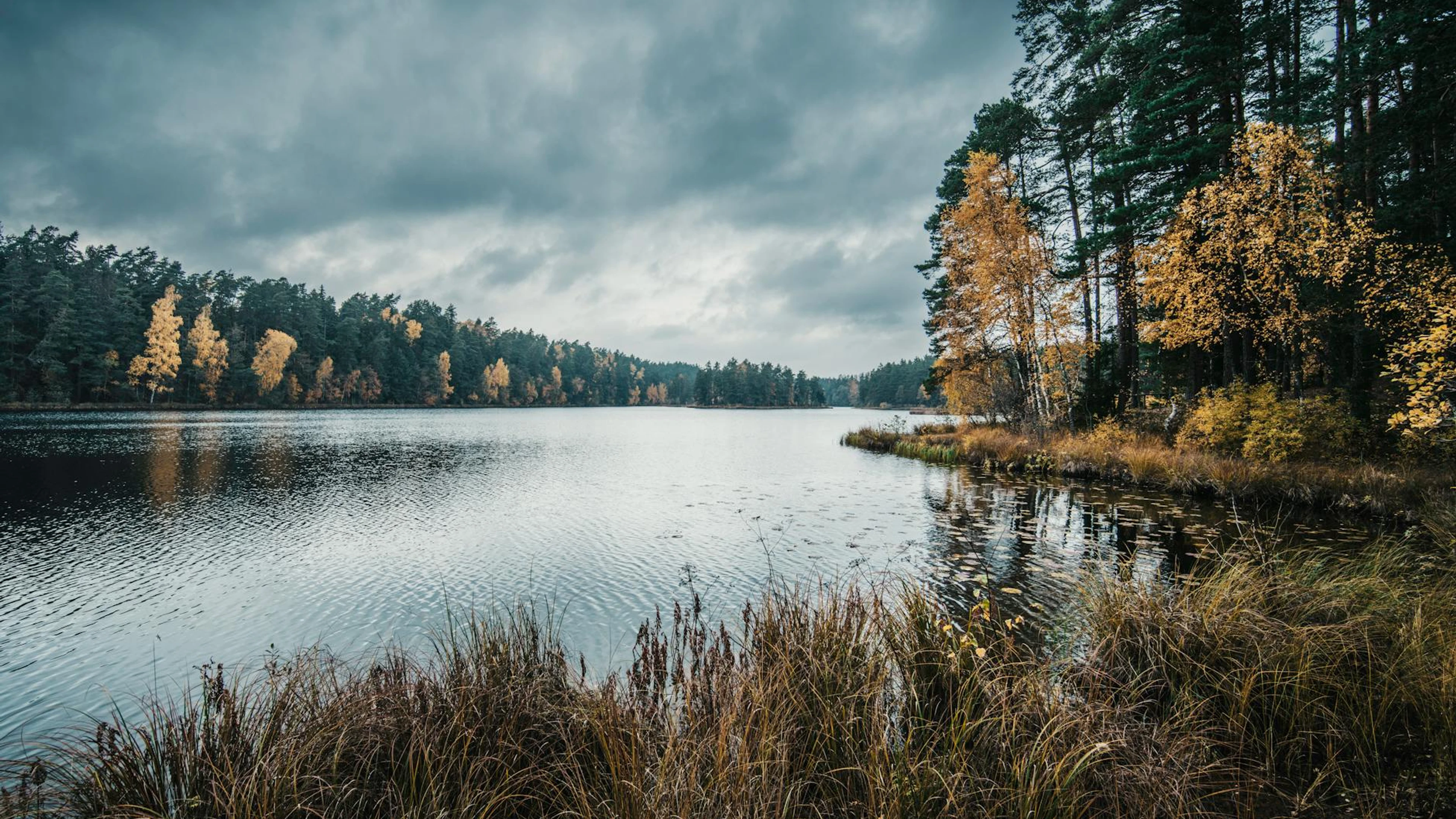 Tranquil autumn scene at Viitna Lake, Estonia, with golden foliage and a serene - free 4K Ultra HD lake wallpaper for desktop