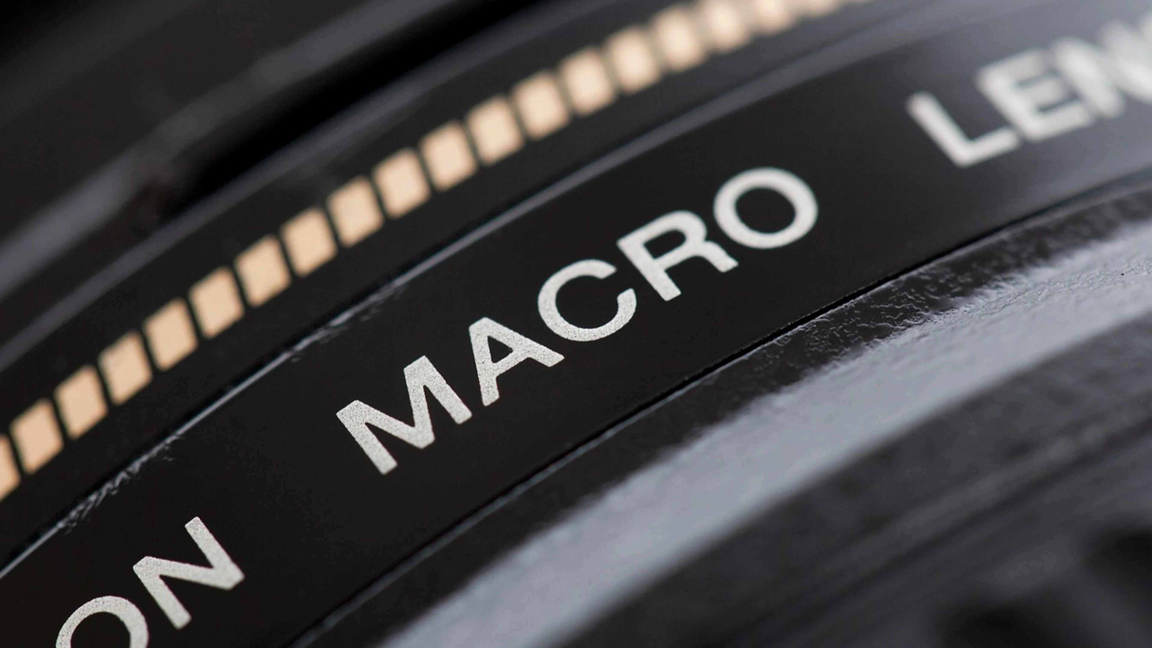 Camera macro lens - free 4K Ultra HD macro wallpaper for desktop