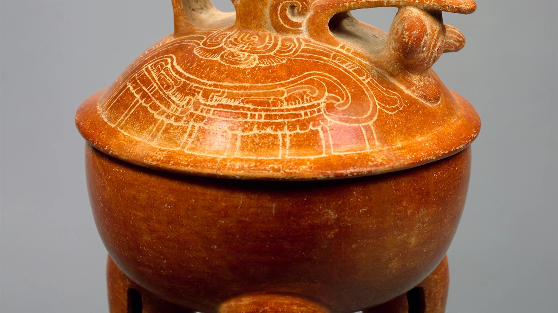 Tripod Bird Bowl - free hd macro wallpaper for desktop