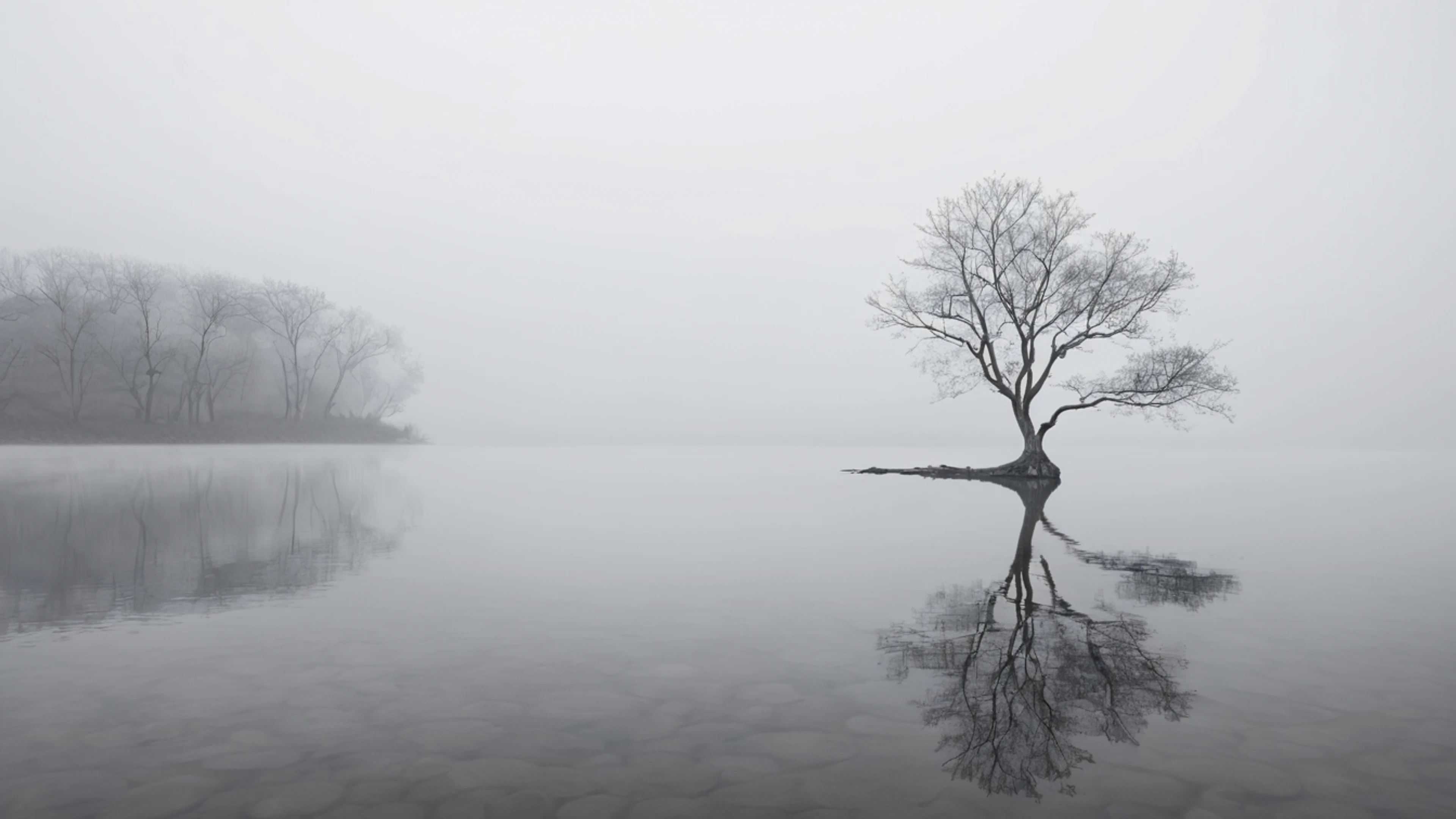Minimal Fog Lake - free 4K Ultra HD minimal wallpaper for desktop