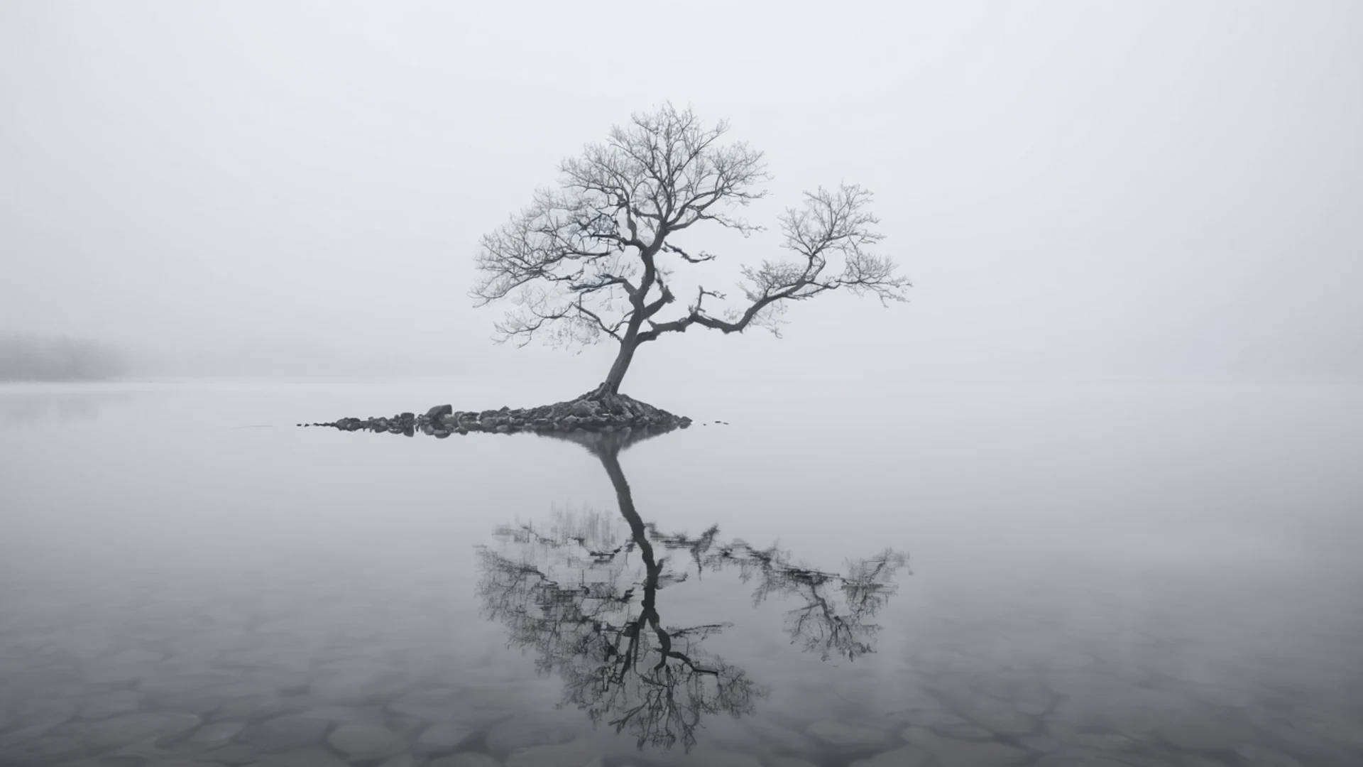 Minimal Fog Lake - free hd minimal wallpaper for desktop