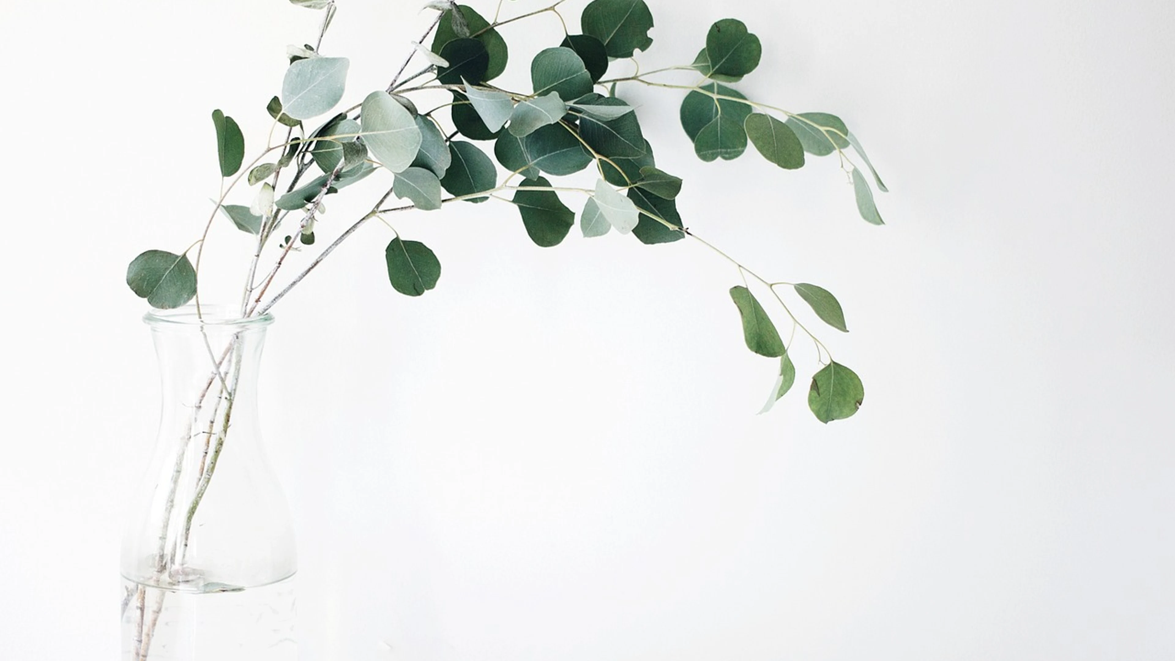 Still nature items - free 4K Ultra HD minimal wallpaper for desktop