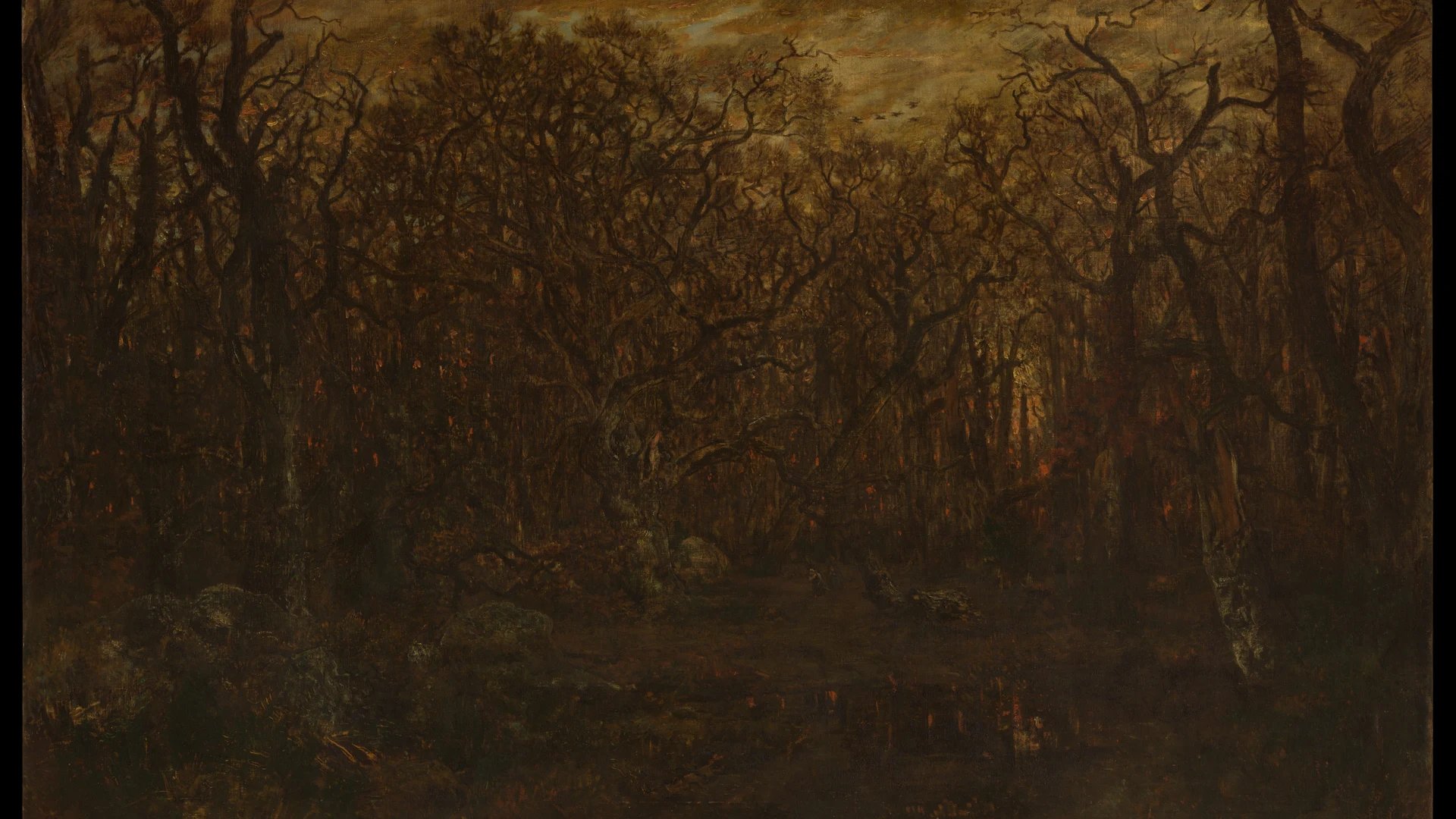 The Forest in Winter at Sunset - free hd minimal wallpaper for desktop