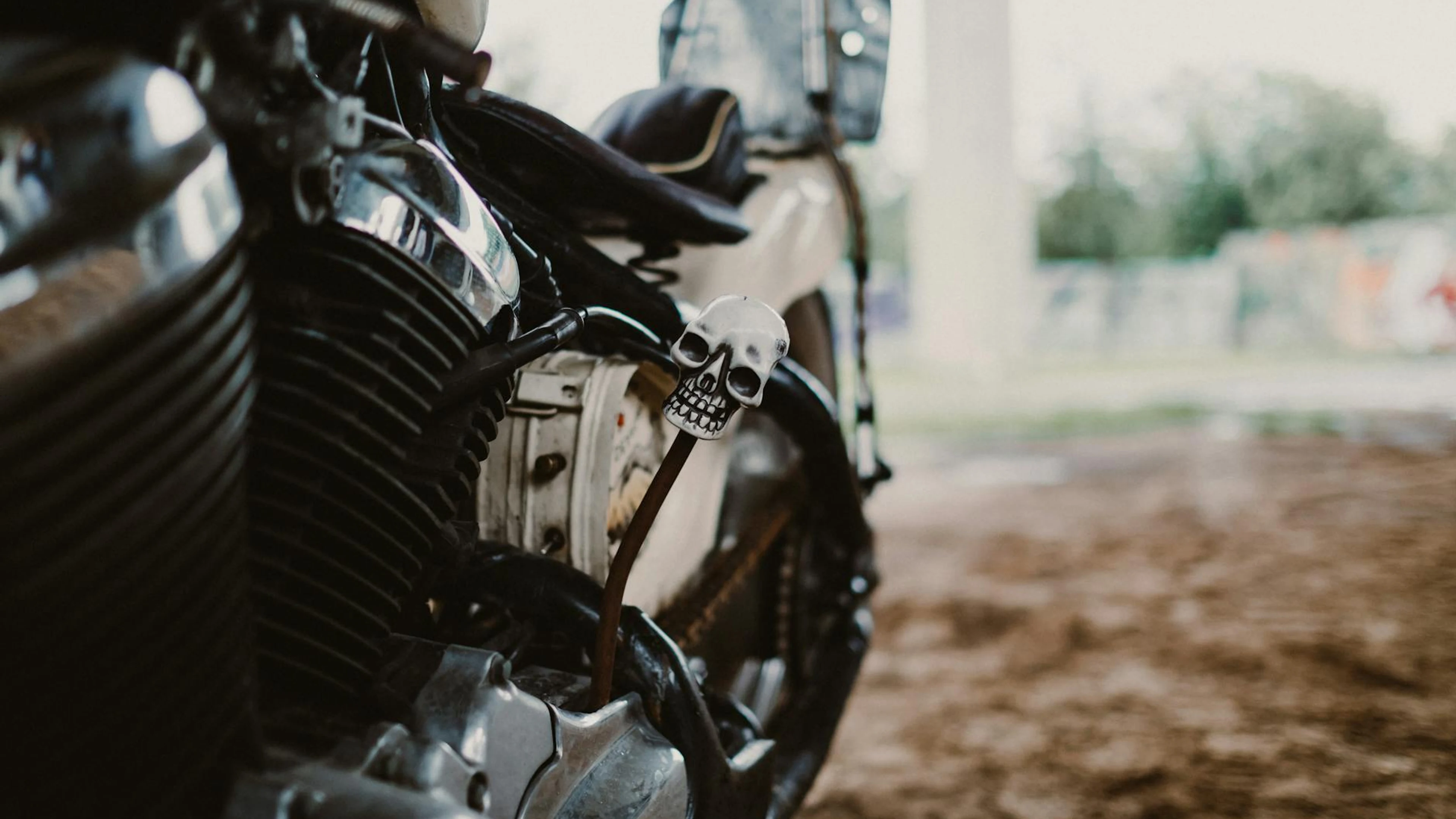 Detailed close-up of a classic motorcycle with a skull-themed decorative element - free 4K Ultra HD motorcycle wallpaper for desktop