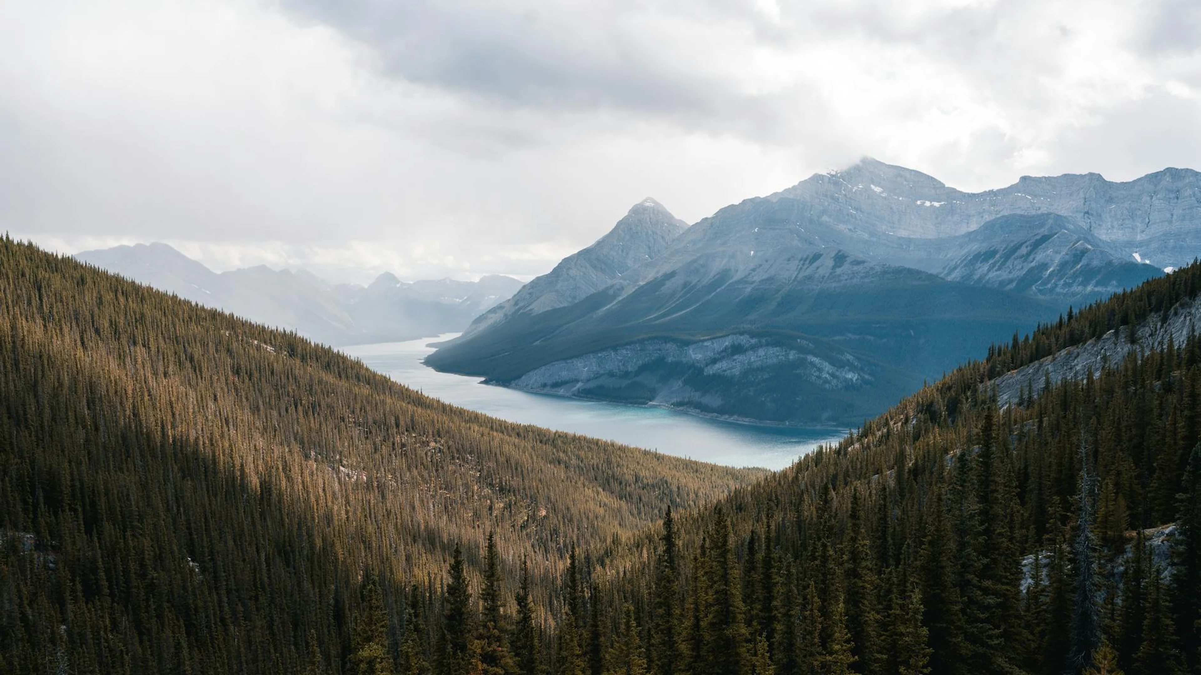 Breathtaking view of Jasper National Park with alpine mountains and lake, Albert - free 4K Ultra HD mountain wallpaper for desktop
