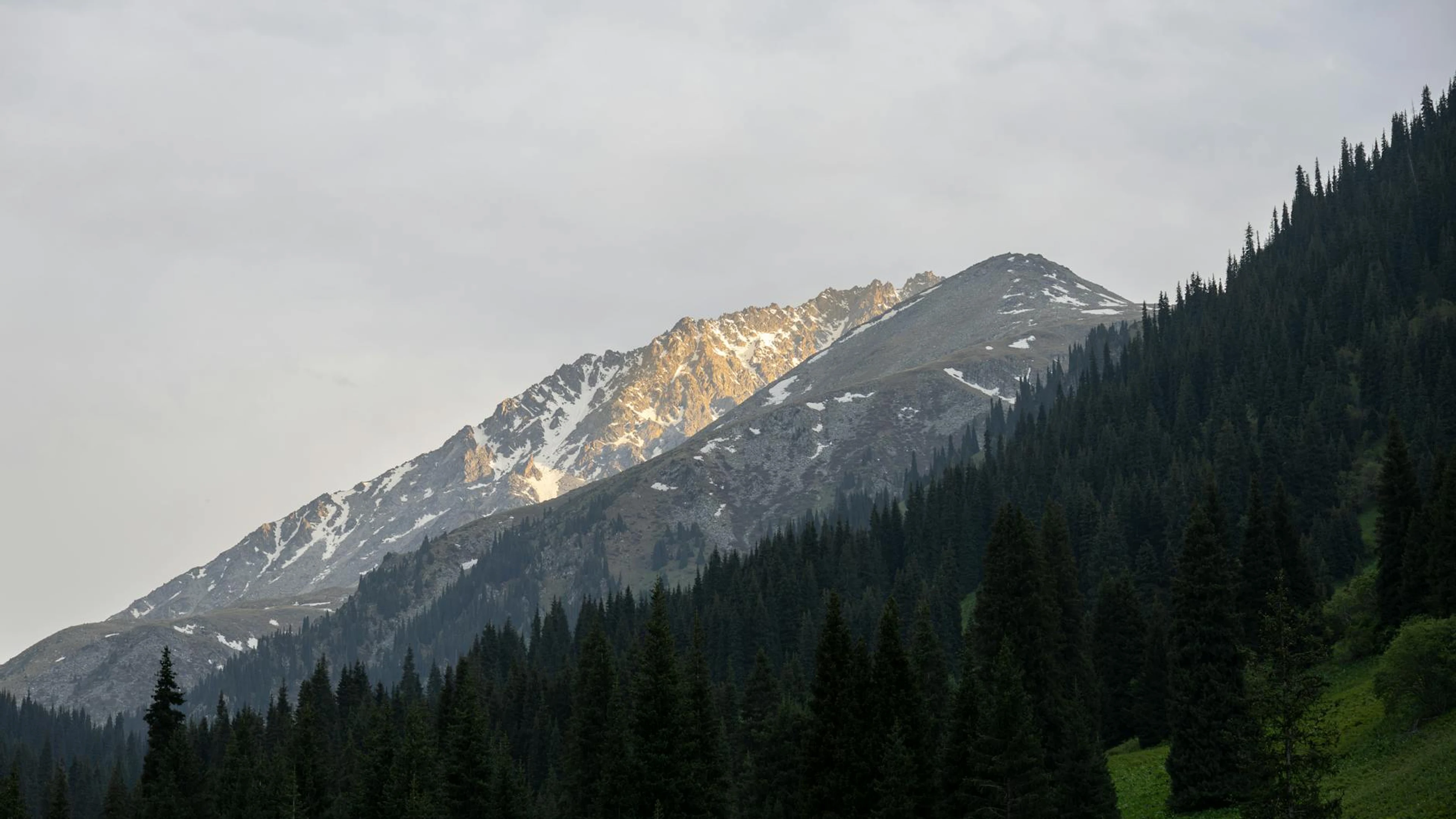 Breathtaking view of snow-capped Tien Shan mountains in Almaty, surrounded by lu - free 4K Ultra HD mountain wallpaper for desktop