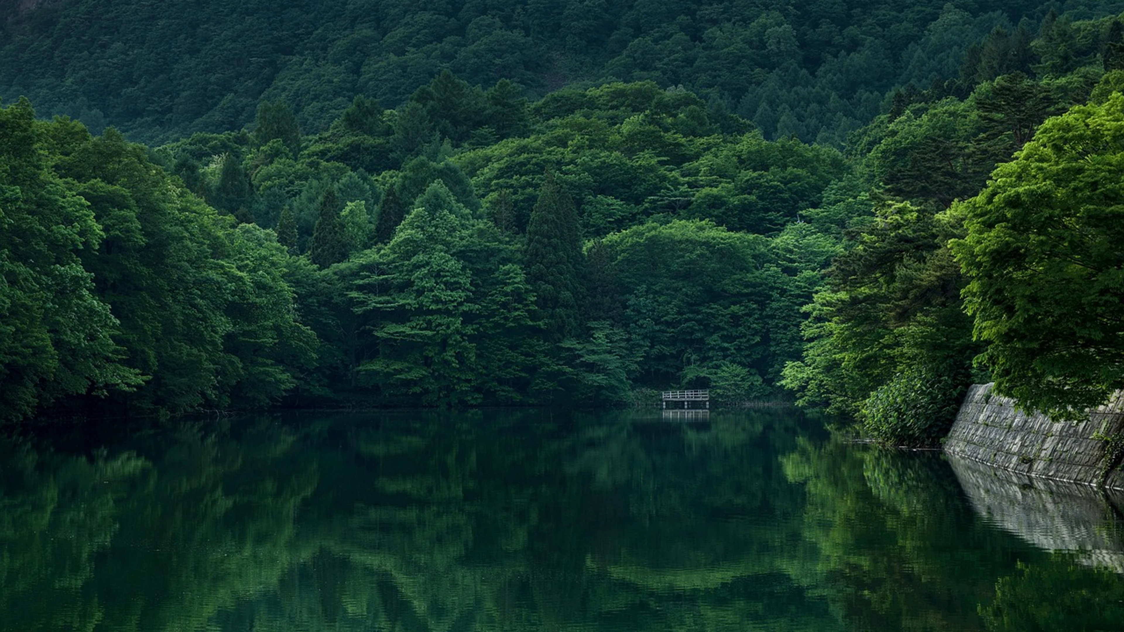 Lake forest dock - free 4K Ultra HD mountain wallpaper for desktop