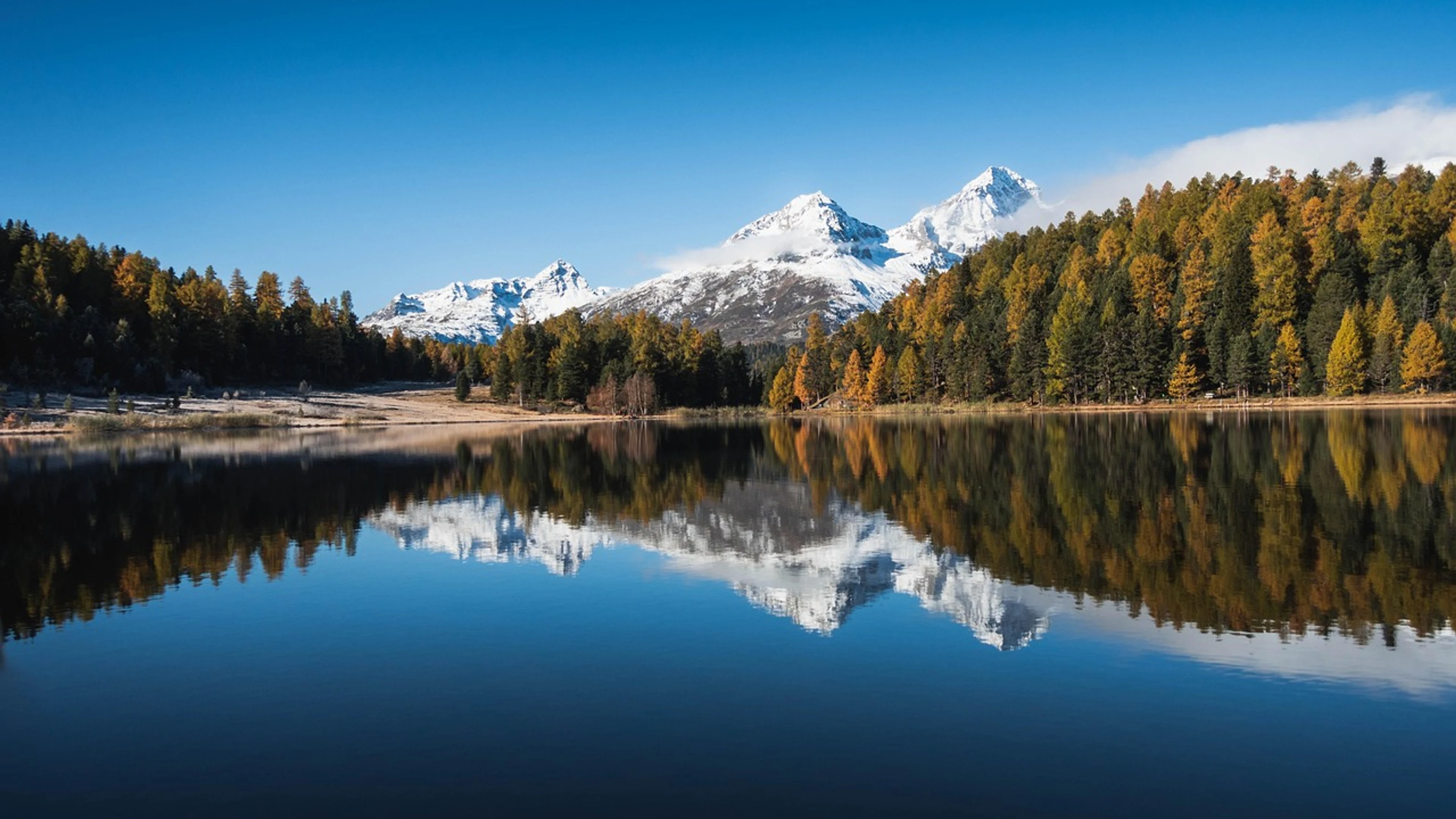 Lake mountains trees - free 4K Ultra HD mountain wallpaper for desktop