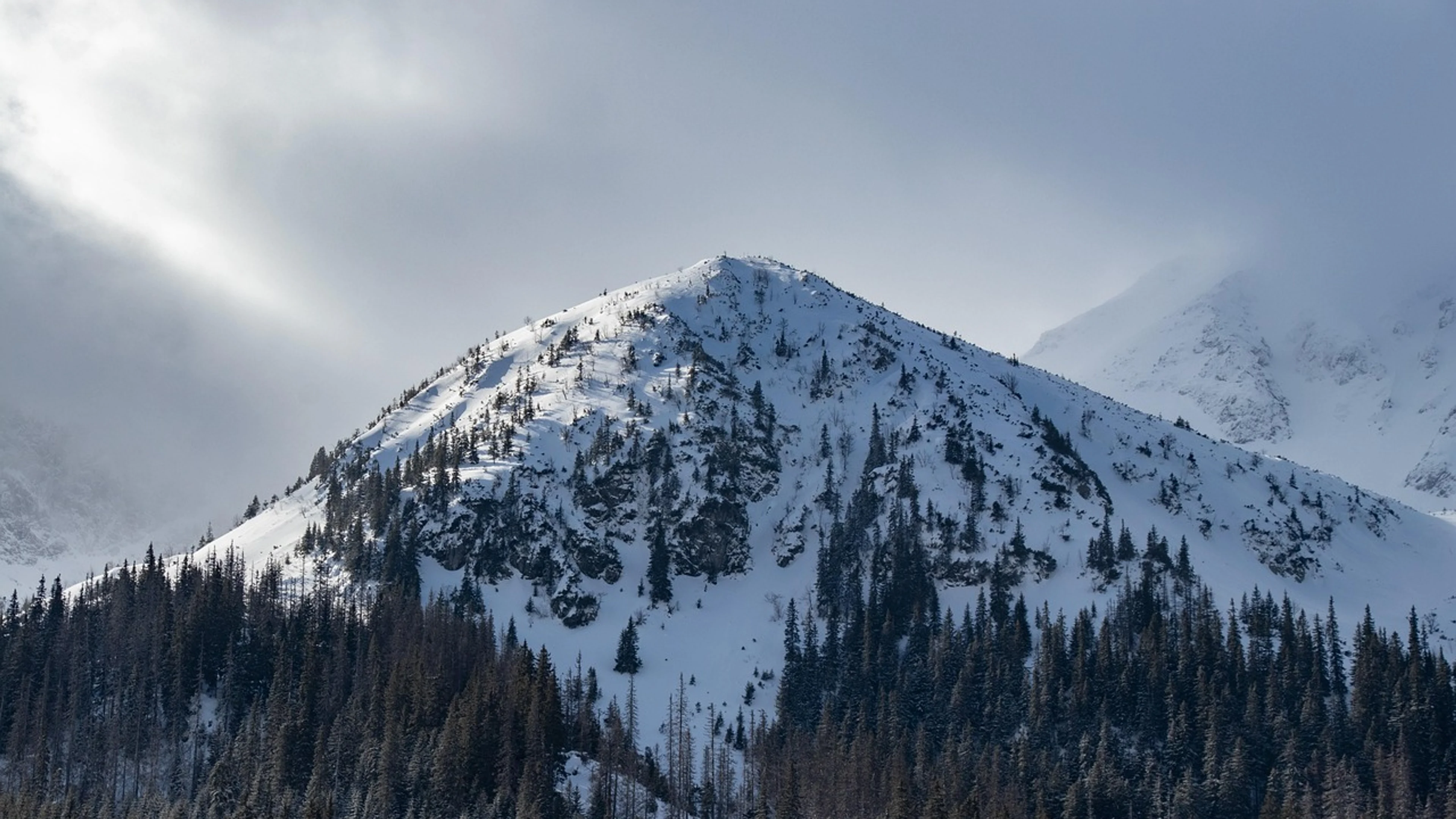 Mountain peak forest - free 4K Ultra HD mountain wallpaper for desktop