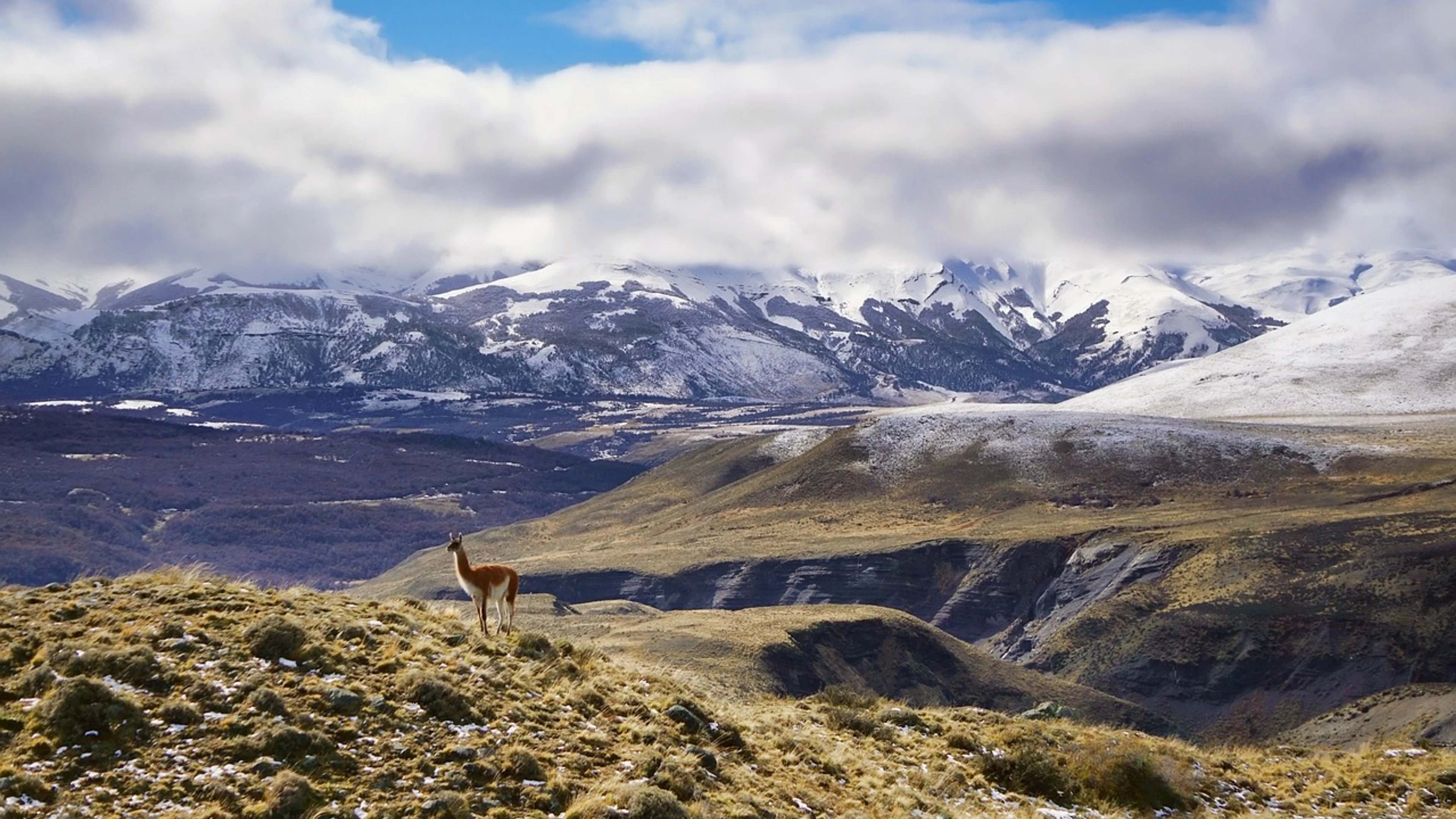 Mountains animal clouds - free 4K Ultra HD mountain wallpaper for desktop