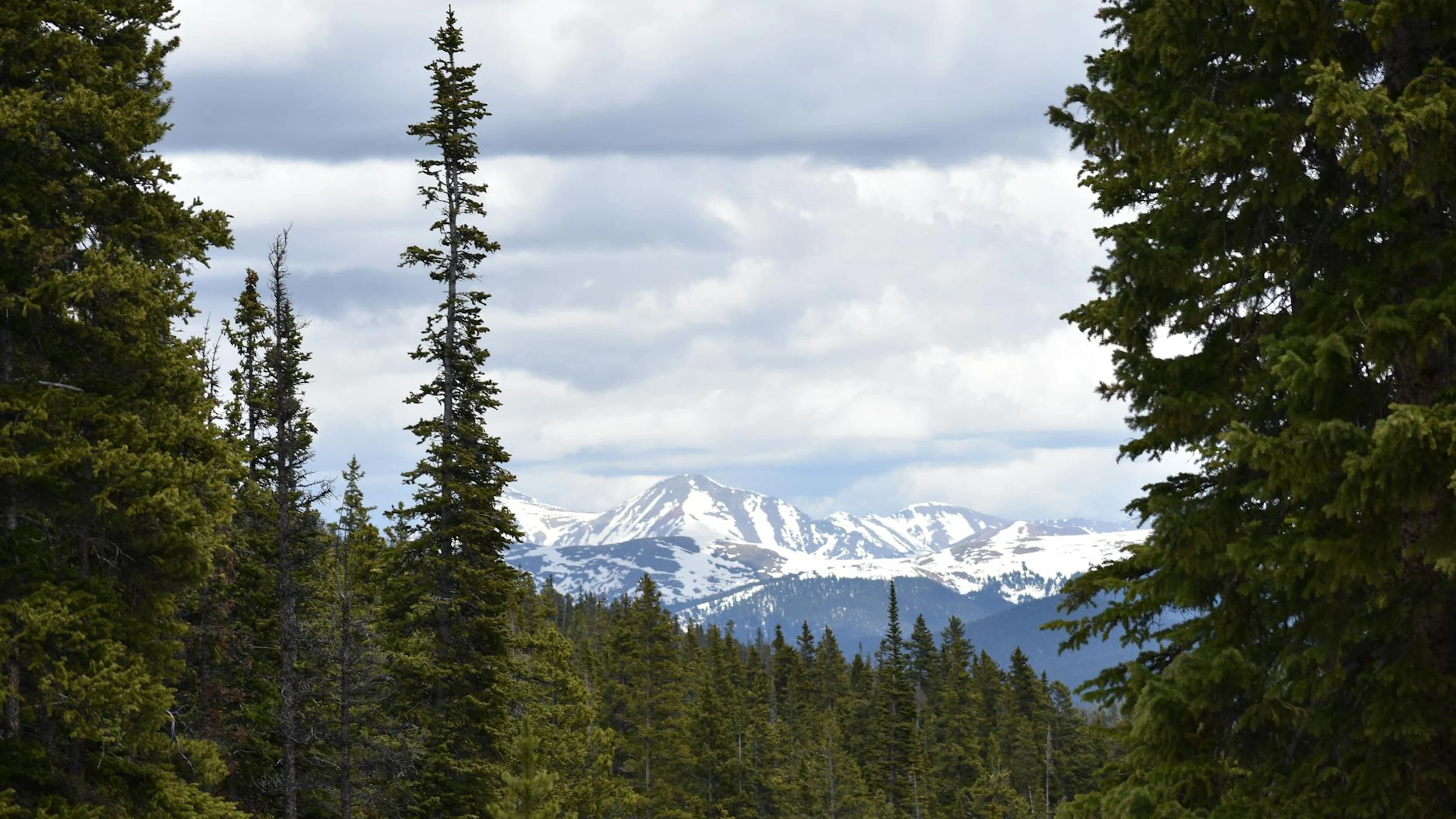 Scenic view of snowy peaks and alpine forest in Colorado's Rocky Mountains. - free 4K Ultra HD mountain wallpaper for desktop