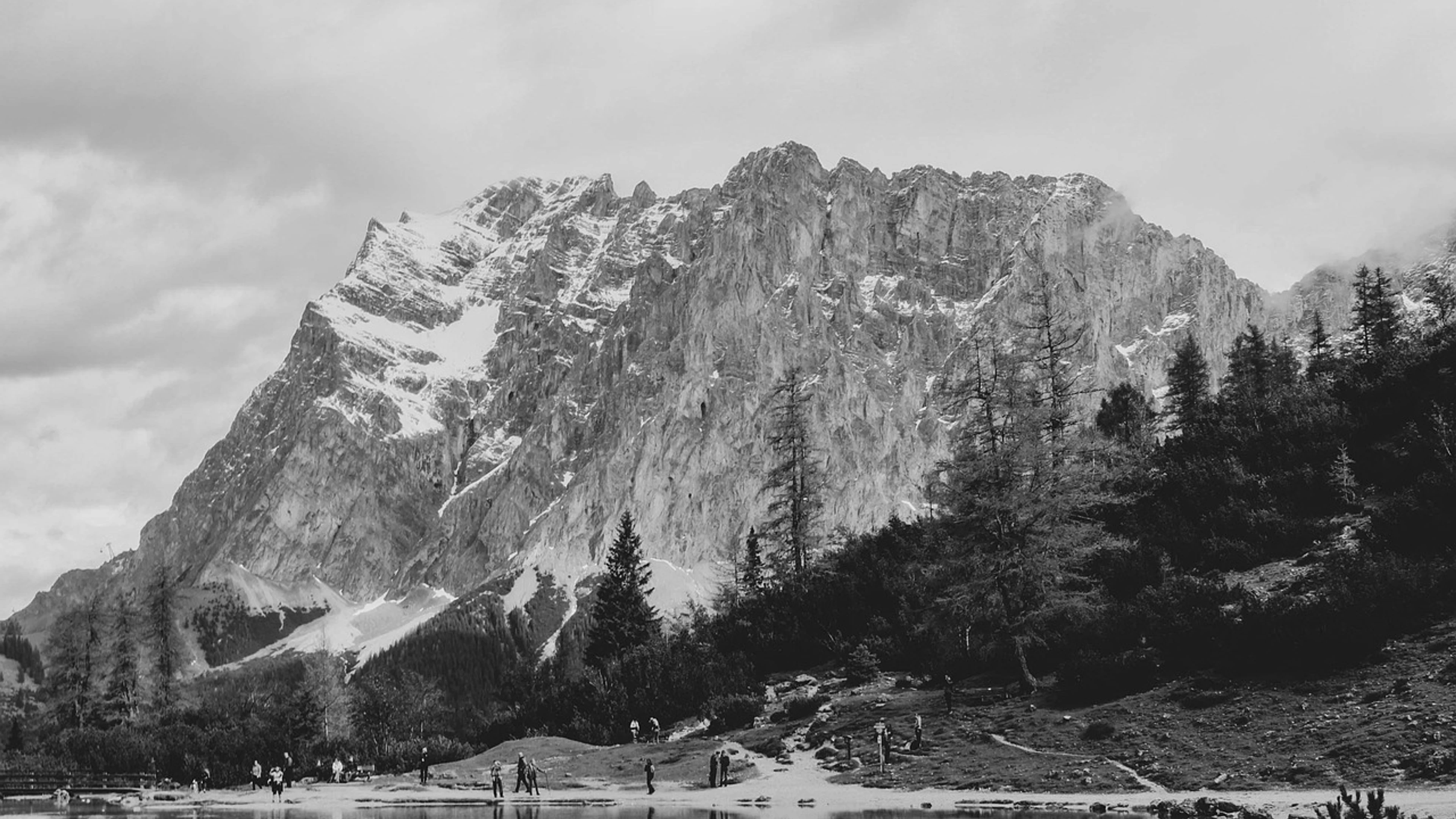 Trees forest relax - free 4K Ultra HD mountain wallpaper for desktop