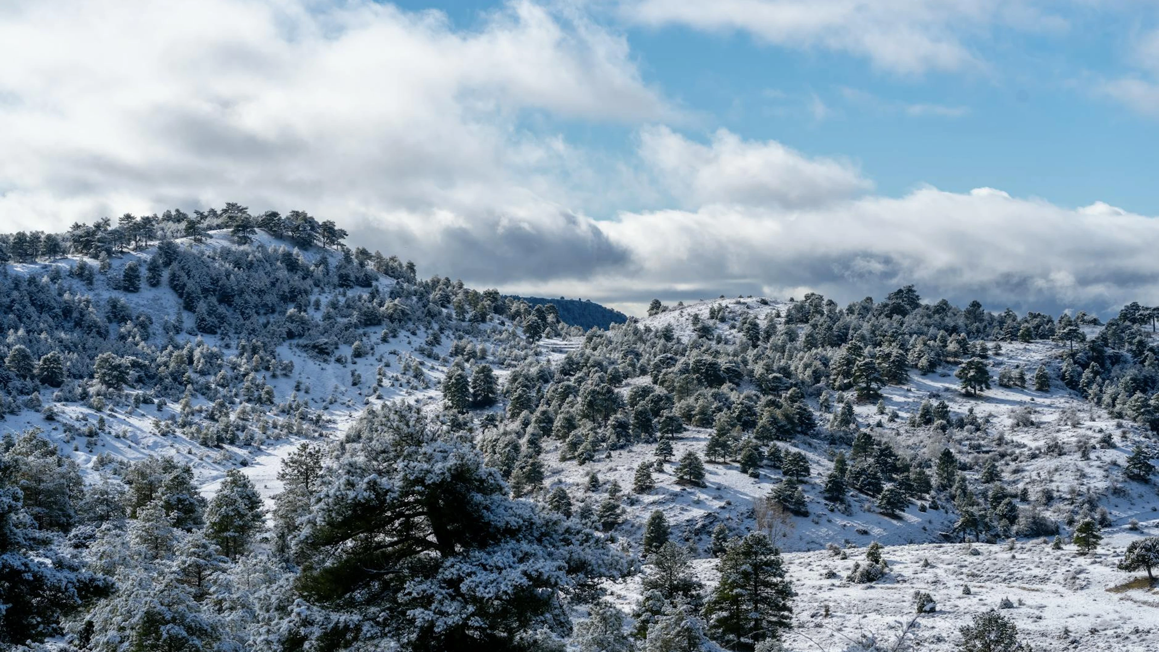 A scenic winter panorama of snow-covered hills and trees in Huerta del Marquesad - free 4K Ultra HD nature wallpaper for desktop