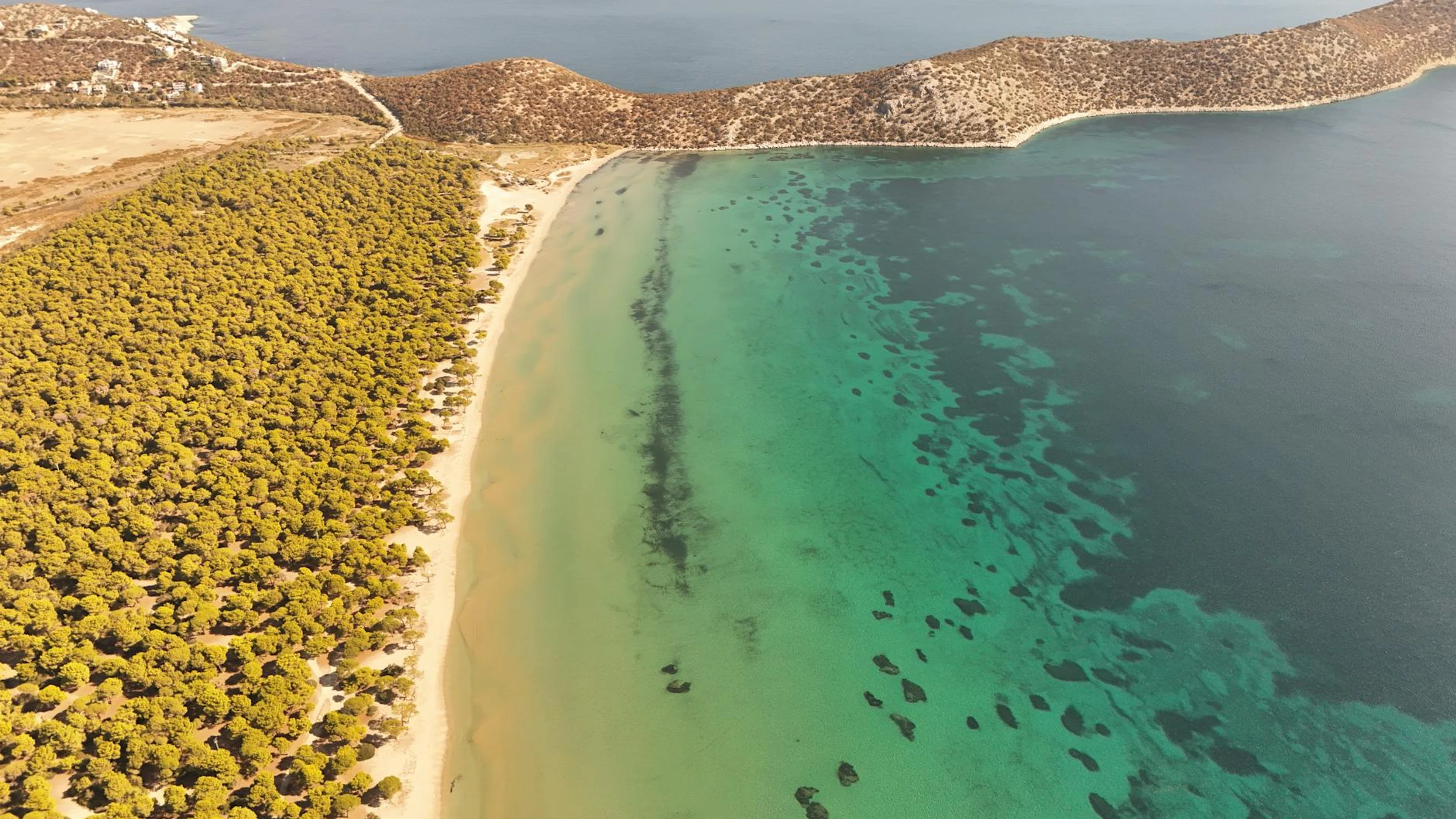 A stunning aerial view of Schinias Beach with lush forests and clear turquoise w - free 4K Ultra HD nature wallpaper for desktop