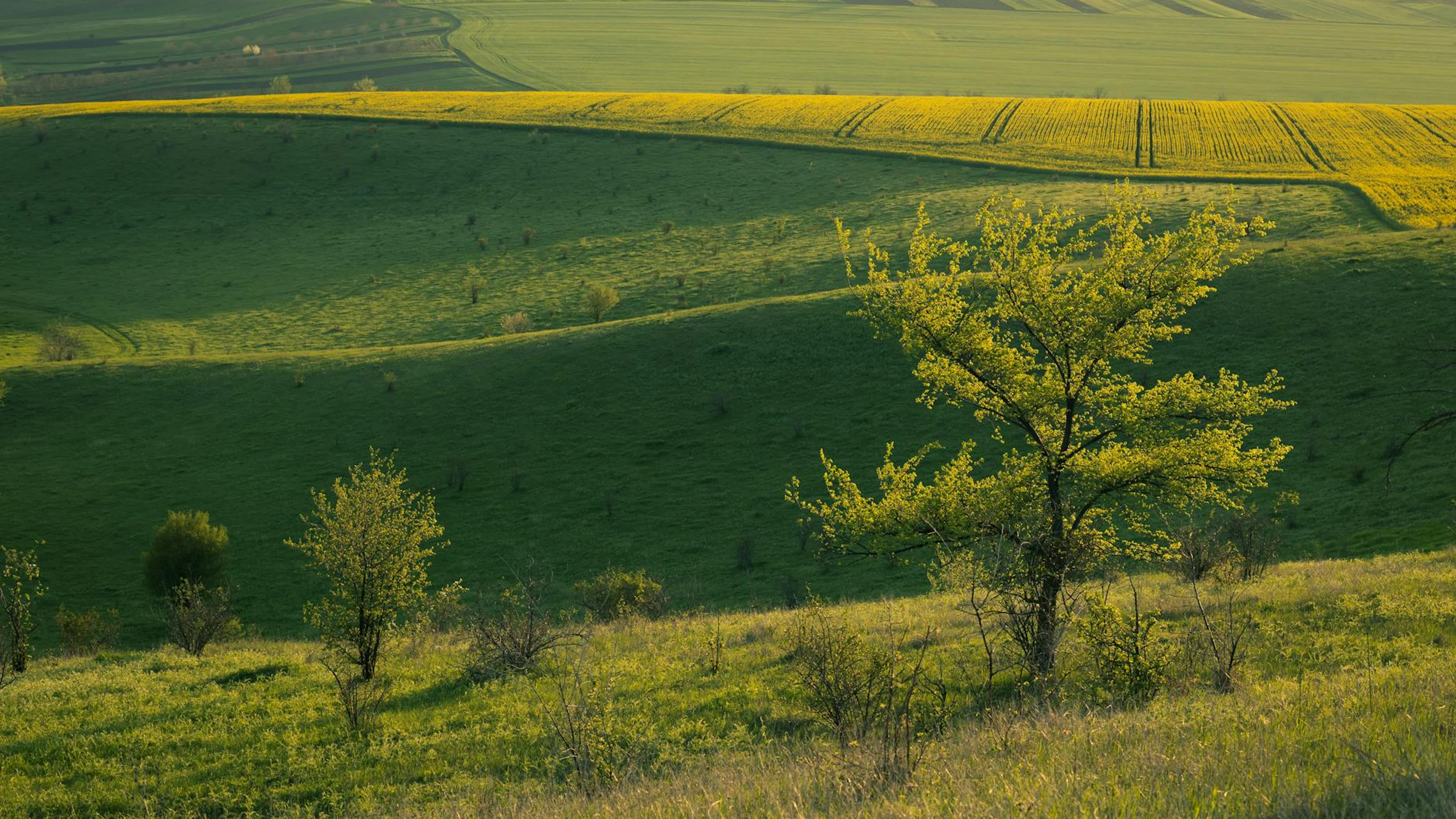 Beautiful rural landscape with rolling hills and vibrant green fields at sunset. - free 4K Ultra HD nature wallpaper for desktop
