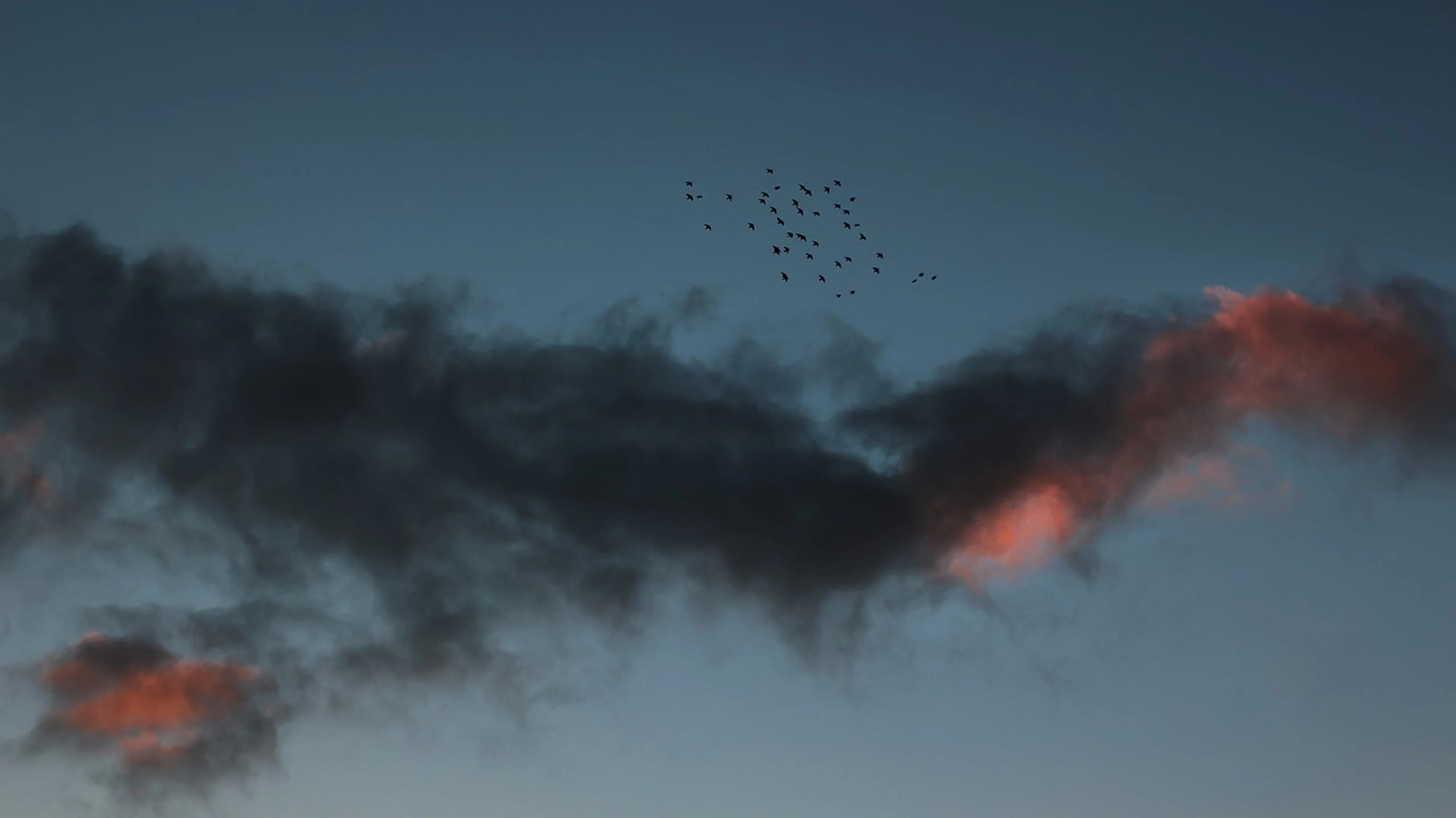 Birds clouds sky - free 4K Ultra HD nature wallpaper for desktop