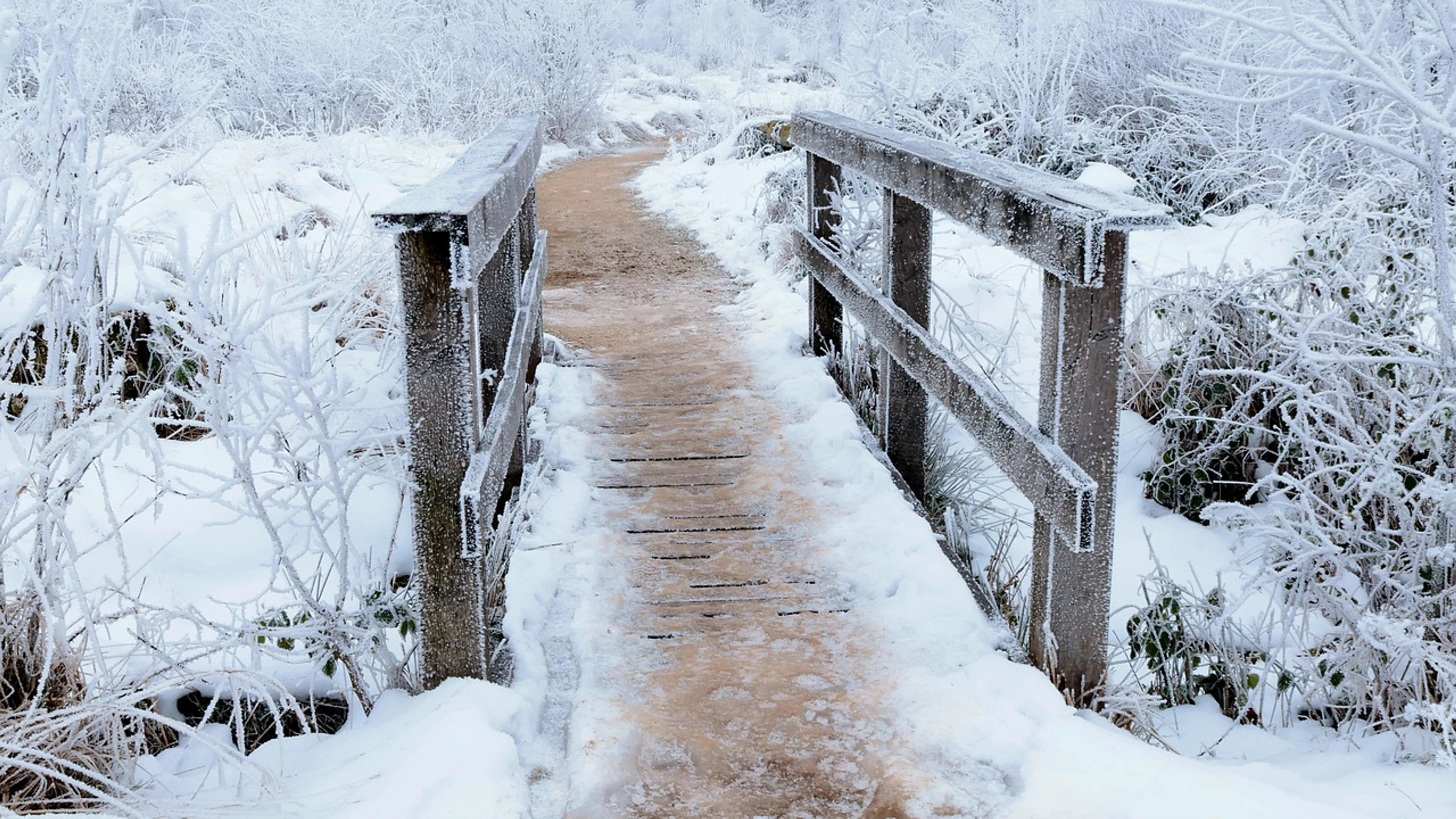 Bridge winter snow - free 4K Ultra HD nature wallpaper for desktop