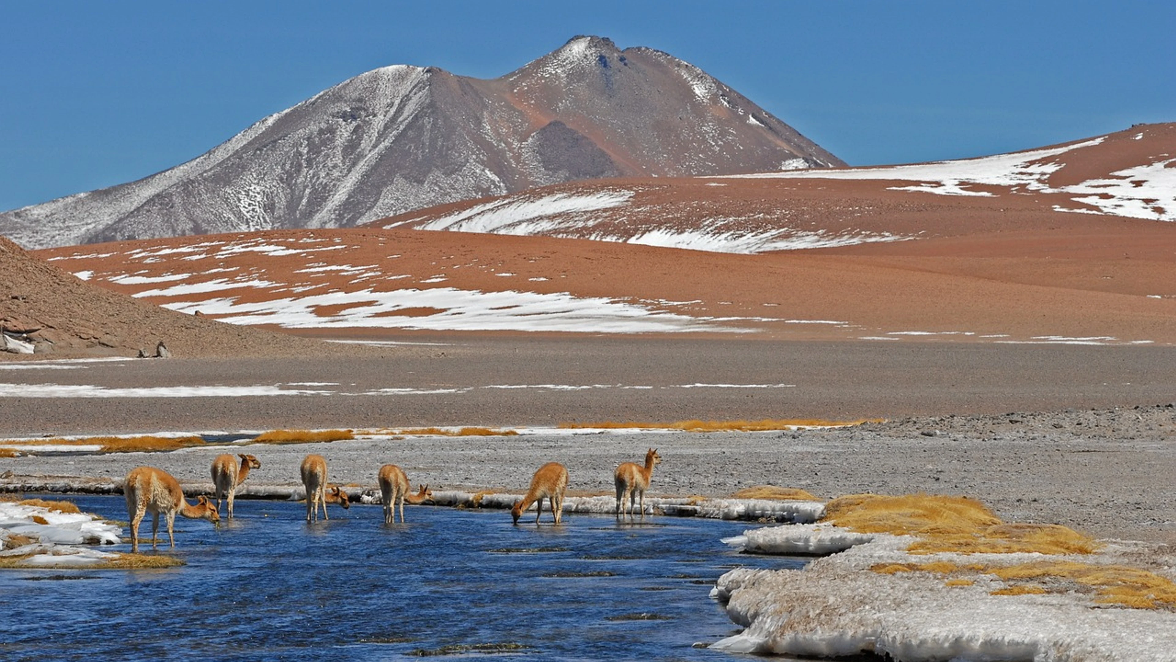 Chile to the nature - free 4K Ultra HD nature wallpaper for desktop