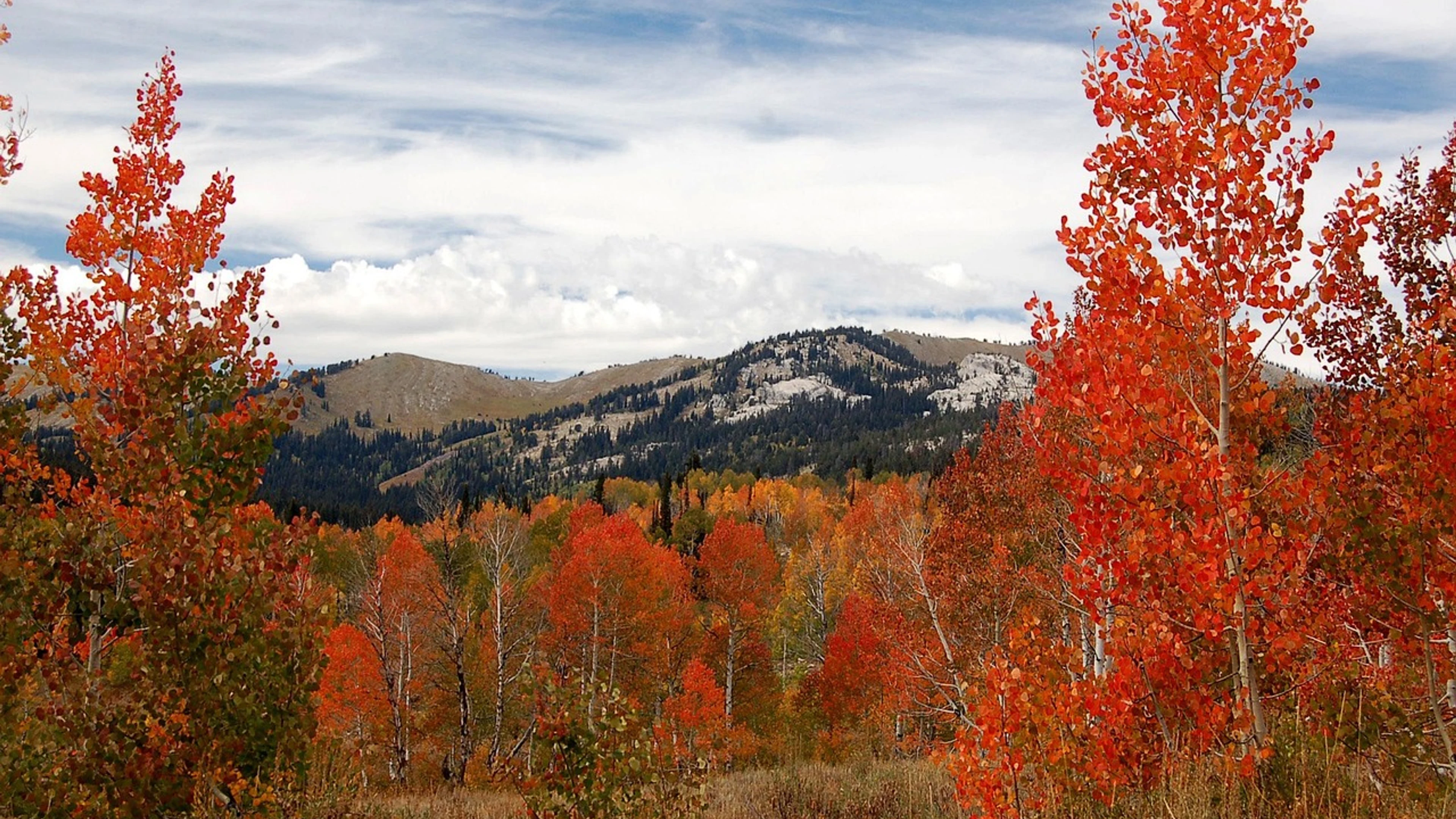 Colorado landscape nature - free 4K Ultra HD nature wallpaper for desktop