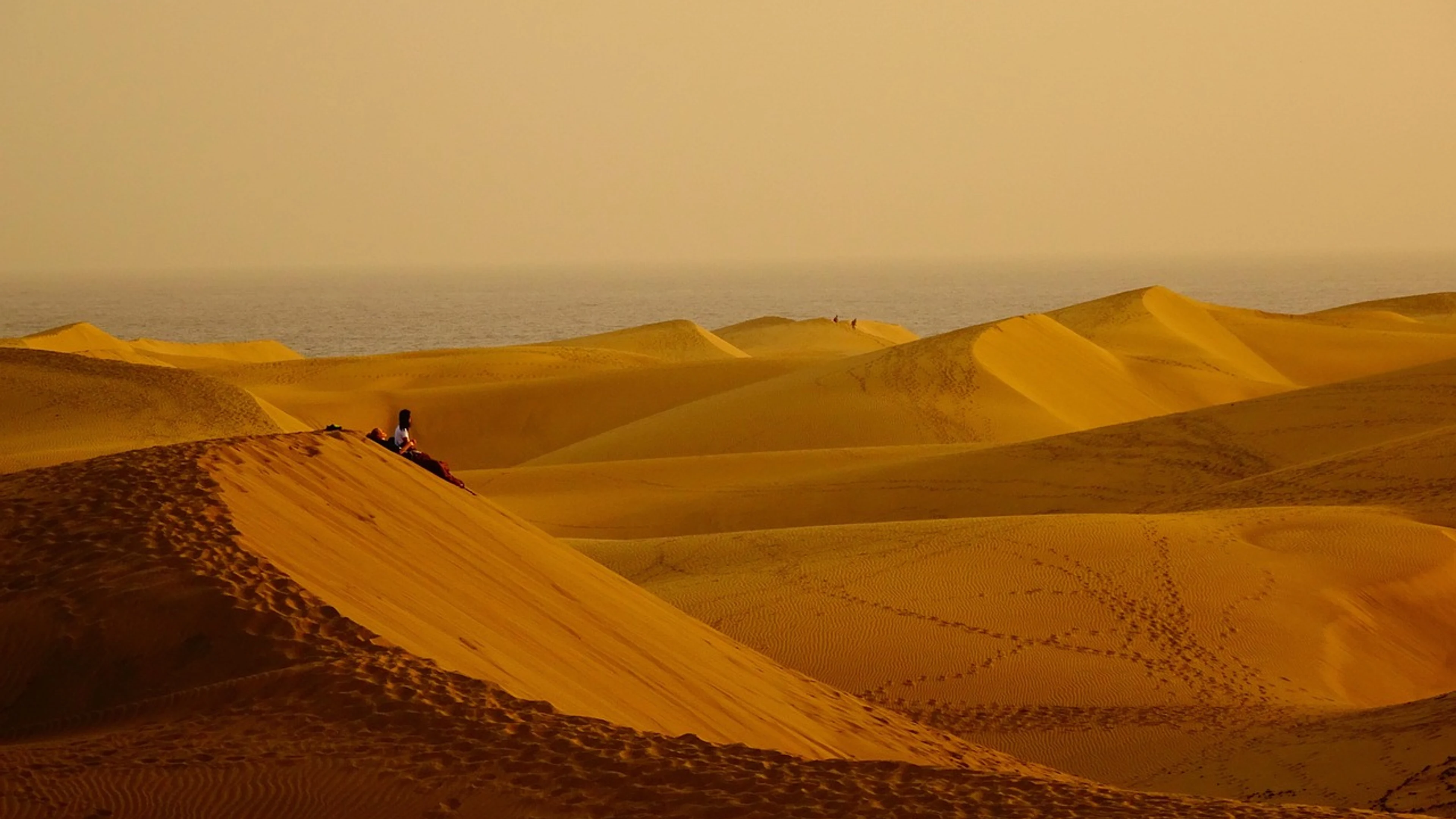Desert sand dunes sunset - free 4K Ultra HD nature wallpaper for desktop
