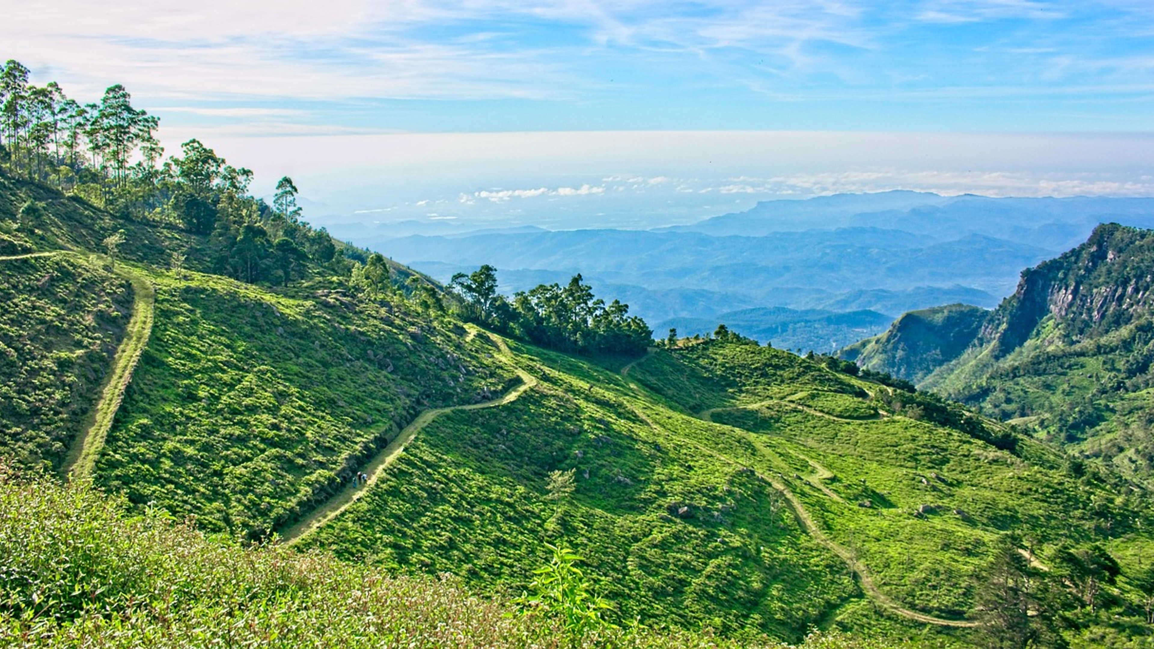 Devil's staircase sri lanka mountains sri lanka tea estate - free 4K Ultra HD nature wallpaper for desktop