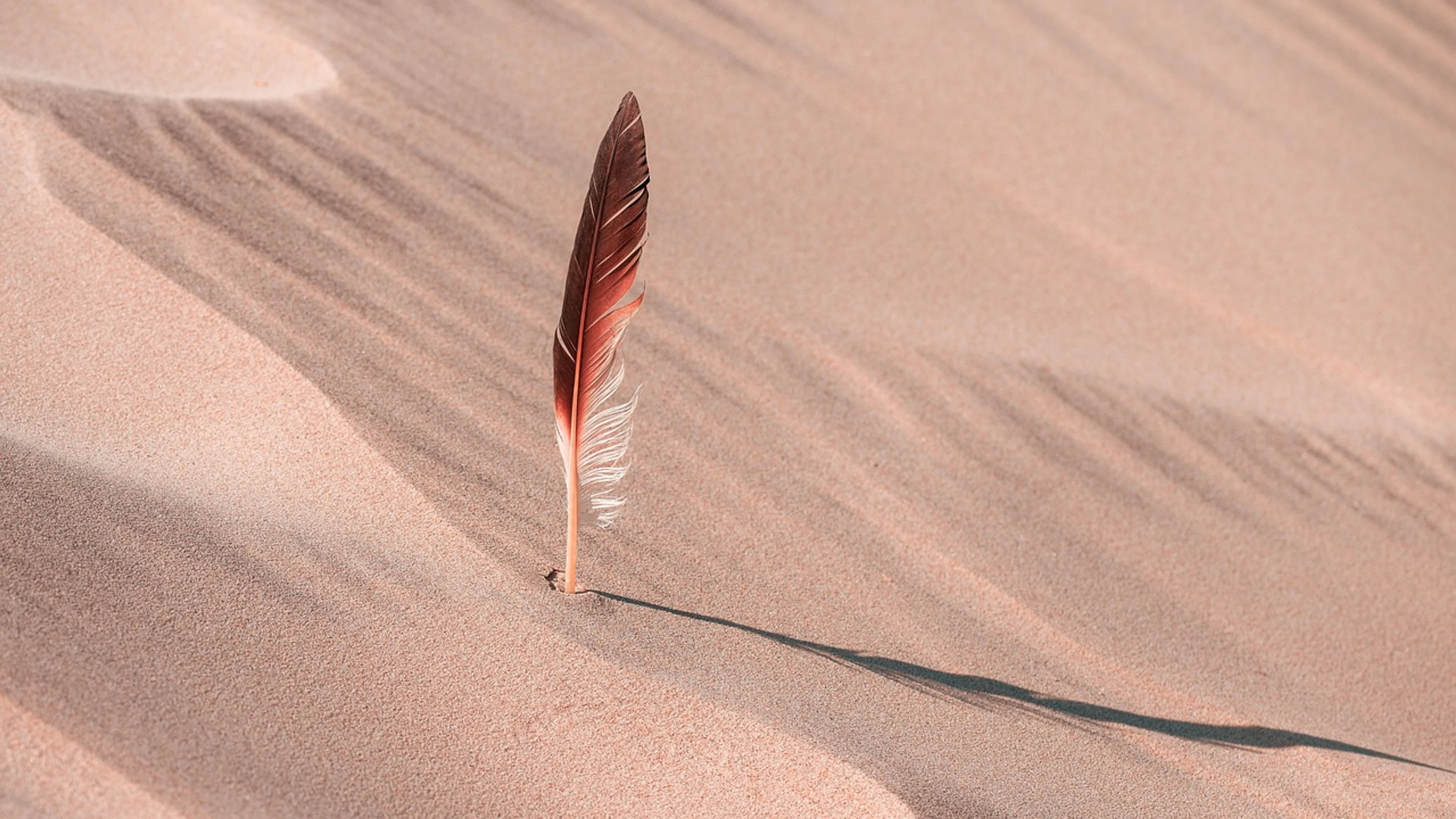 Feather dune desert - free 4K Ultra HD nature wallpaper for desktop