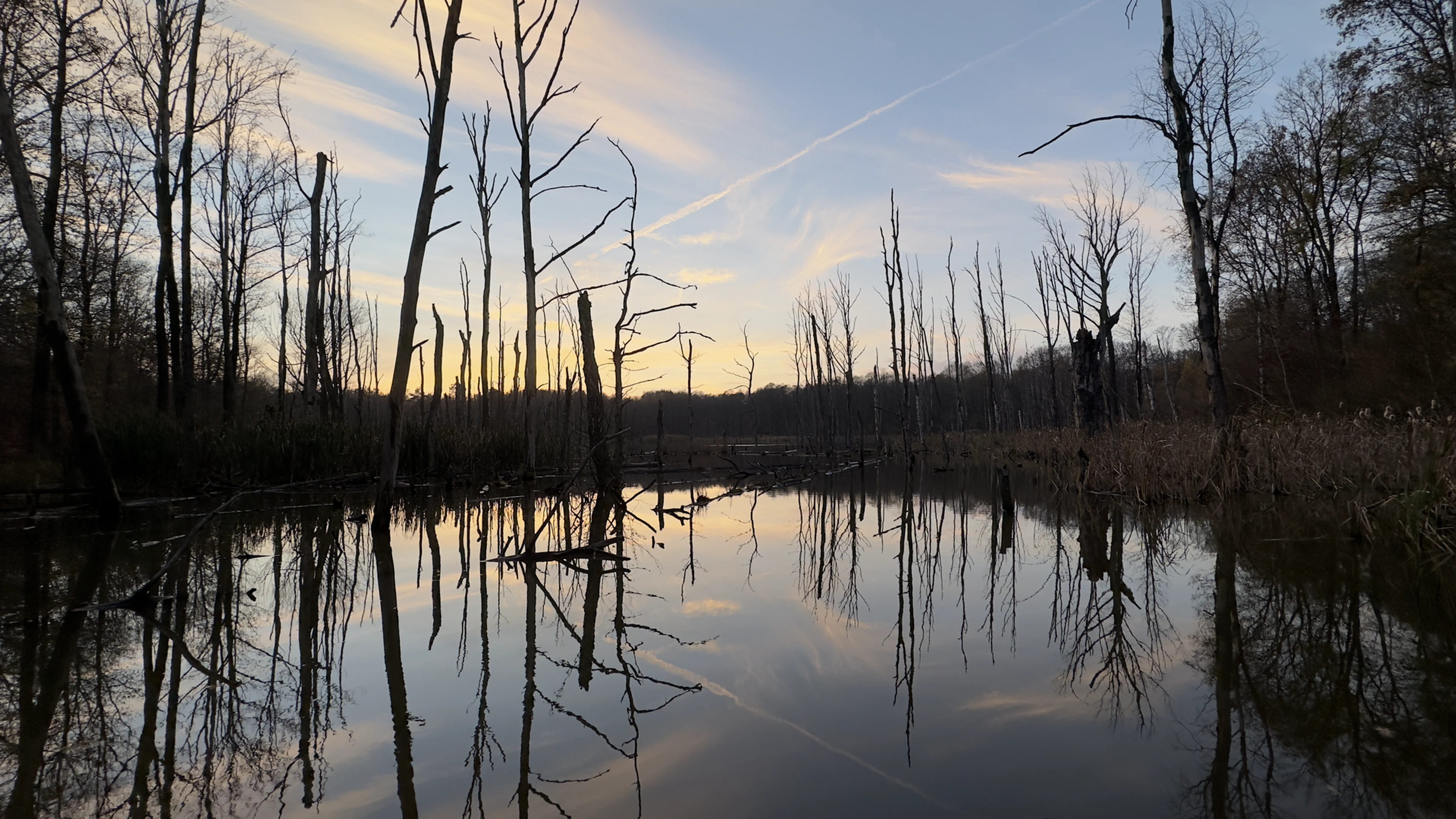 Flooded sinkhole in nature and landscape complexes "Uroczysko Buczyna" - free 4K Ultra HD nature wallpaper for desktop