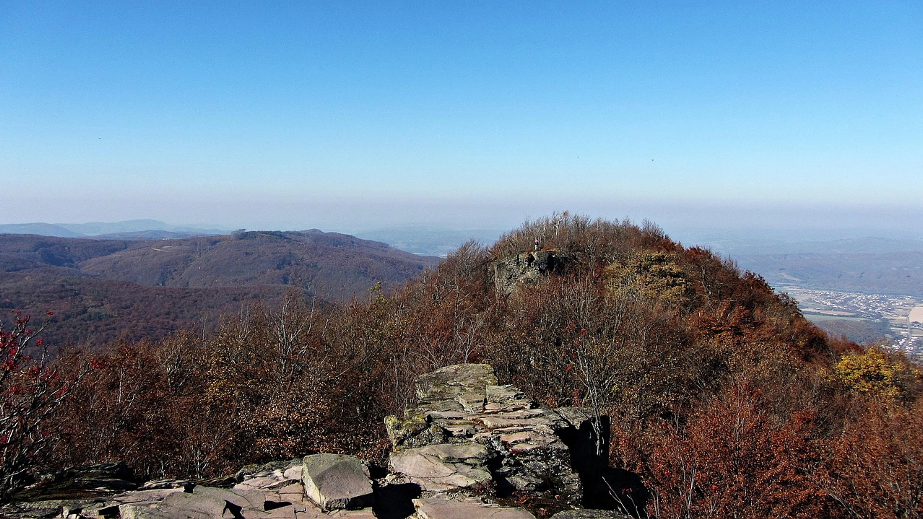 Forest mountains park - free 4K Ultra HD nature wallpaper for desktop