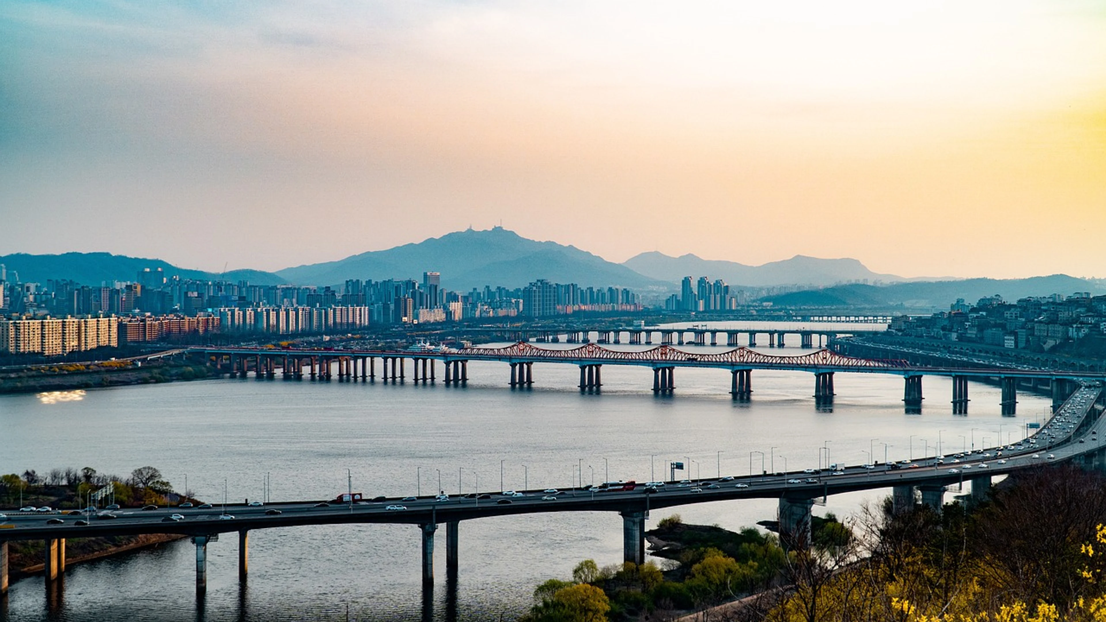 Forsythia river bridge - free 4K Ultra HD nature wallpaper for desktop