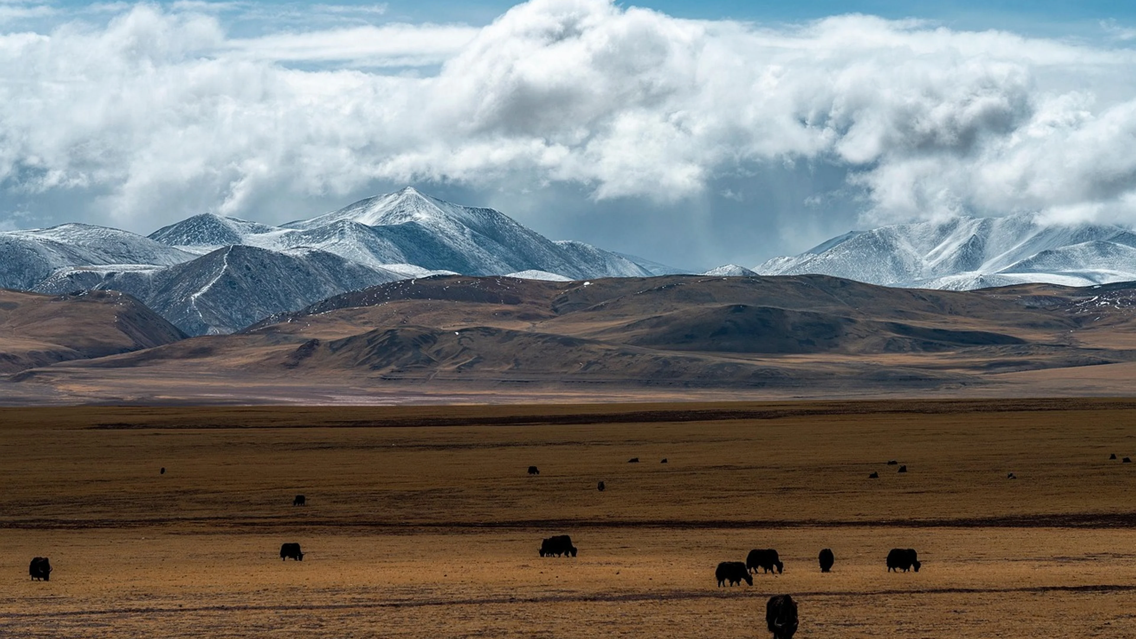 Grassland snow mountain xinjiang - free 4K Ultra HD nature wallpaper for desktop