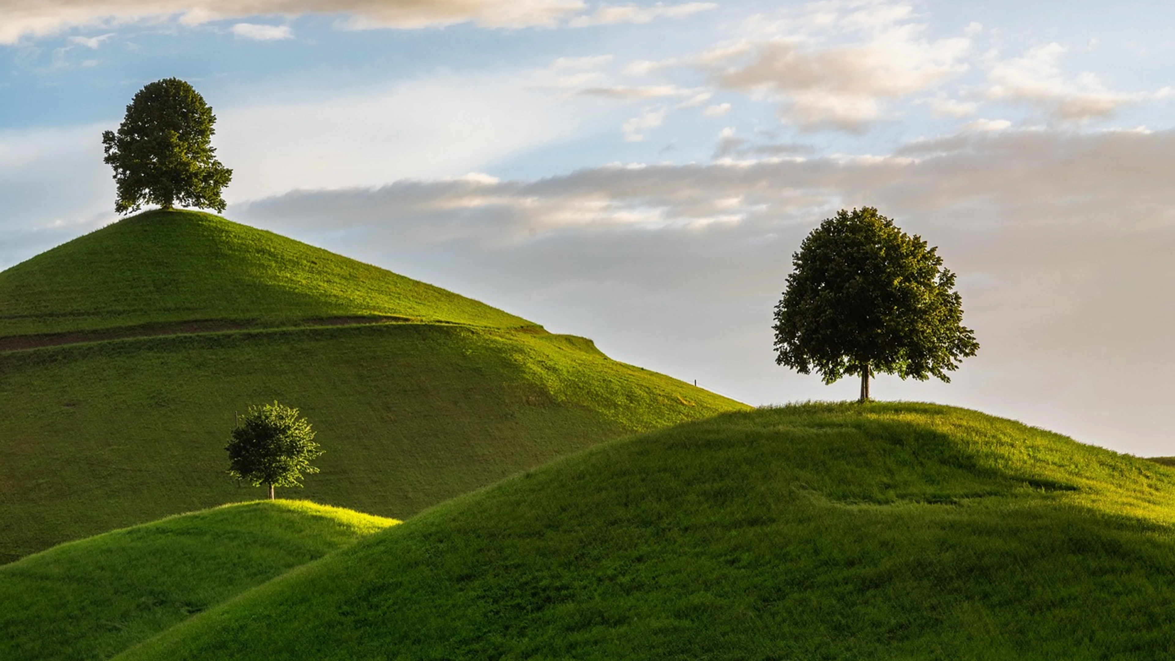 Hill tree nature - free 4K Ultra HD nature wallpaper for desktop