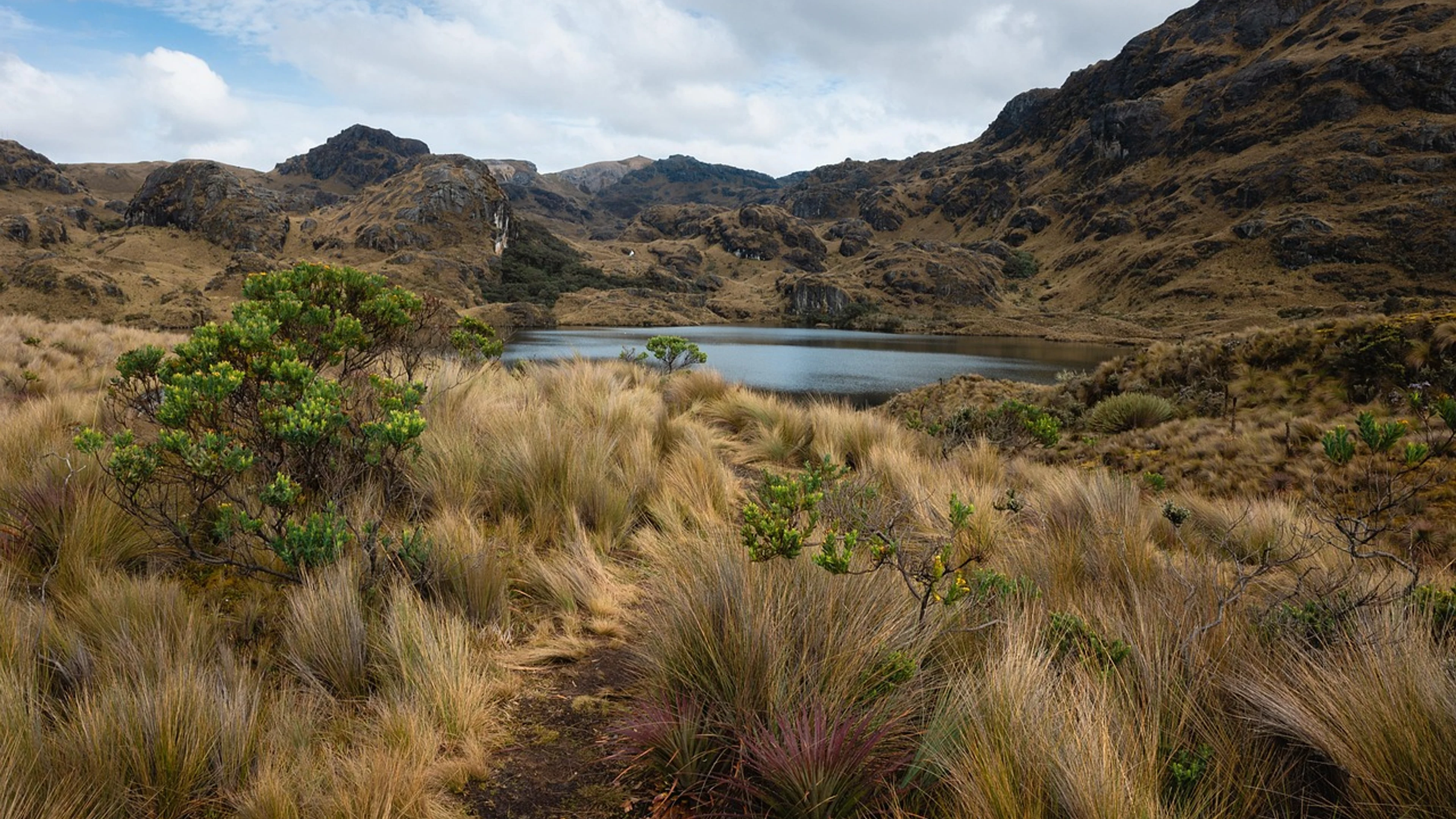 Lake wetland mountains - free 4K Ultra HD nature wallpaper for desktop