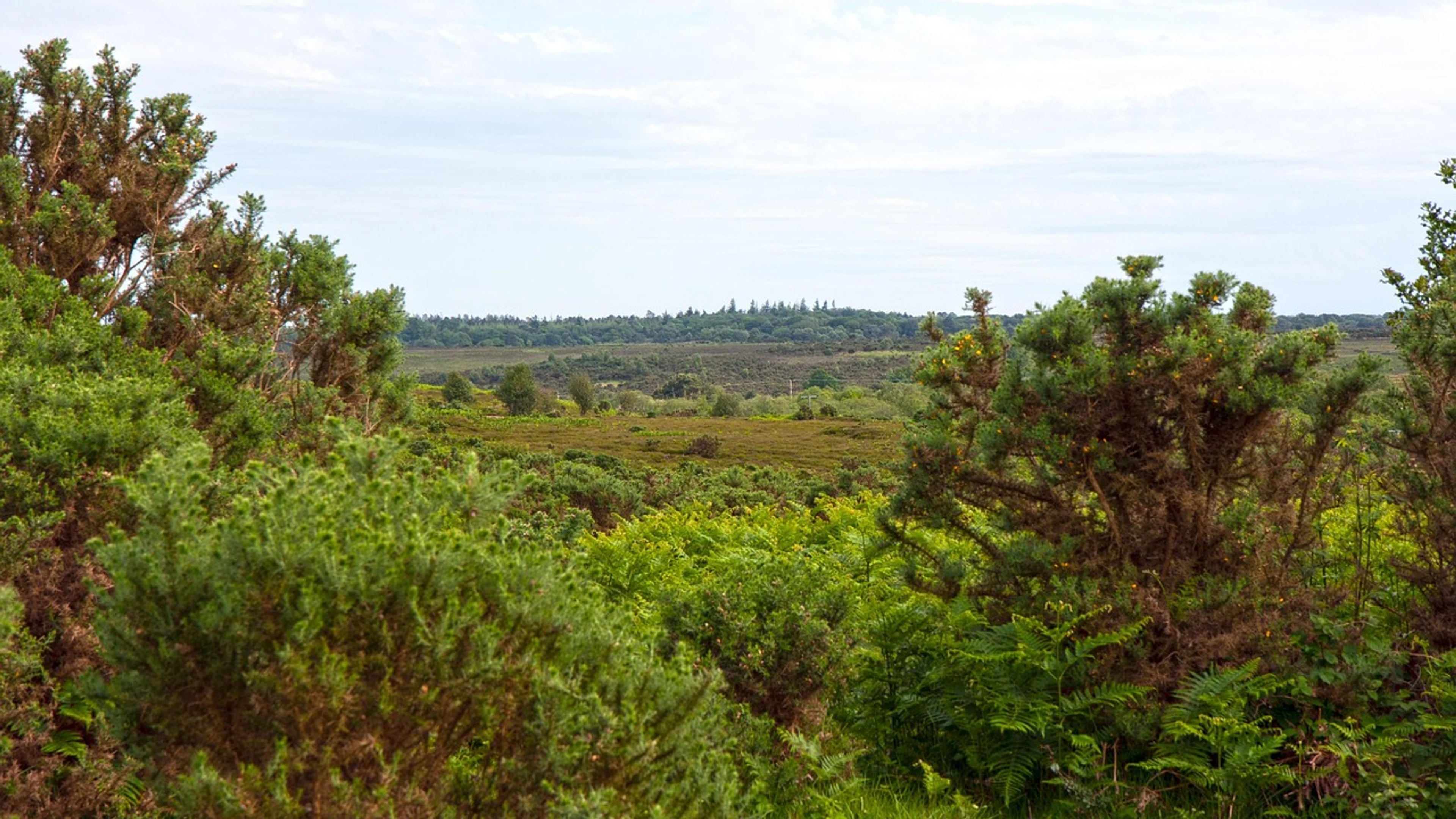 Landscape view vista - free 4K Ultra HD nature wallpaper for desktop