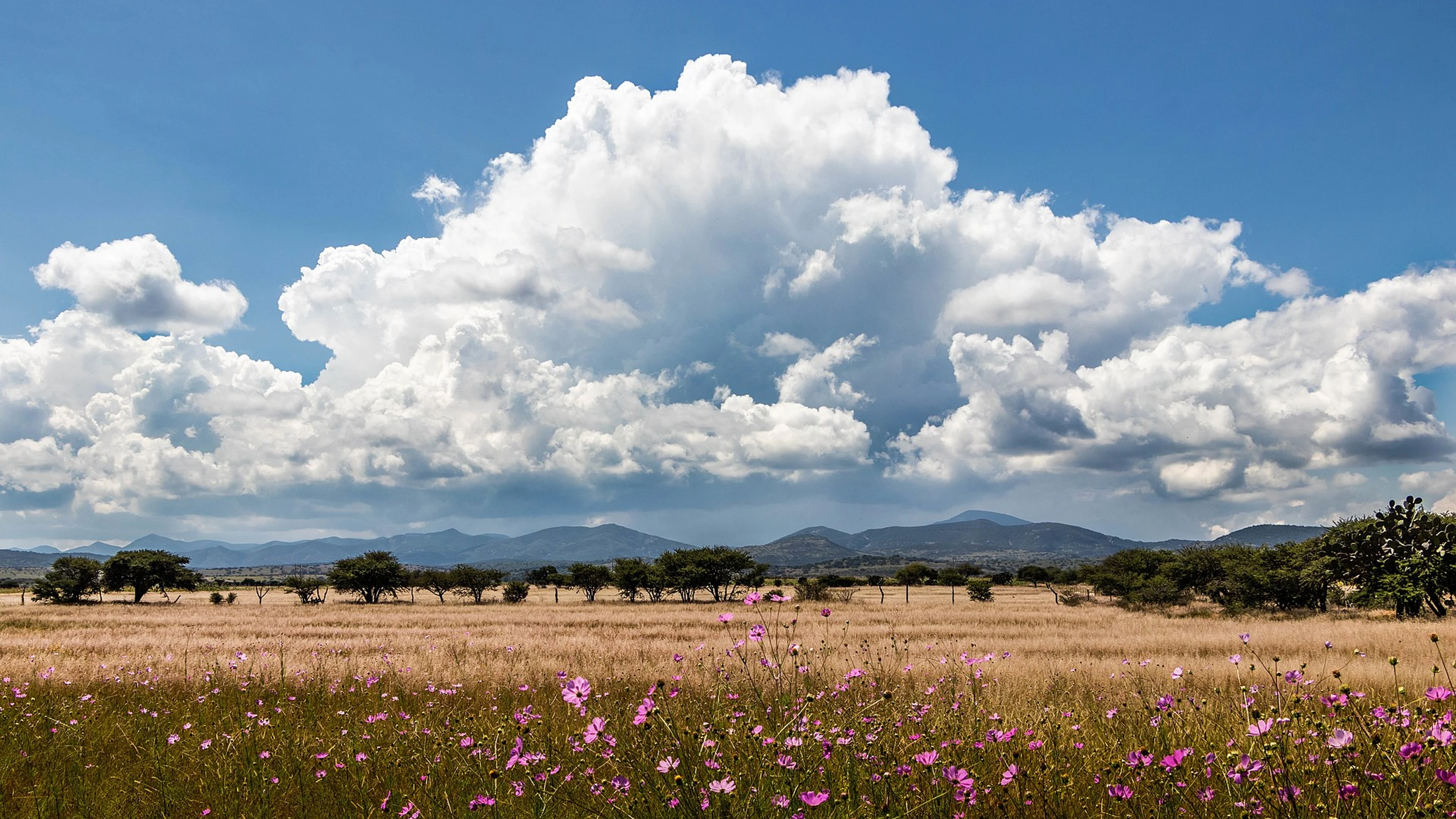 Large cloud over Mexican landscape - free 4K Ultra HD nature wallpaper for desktop