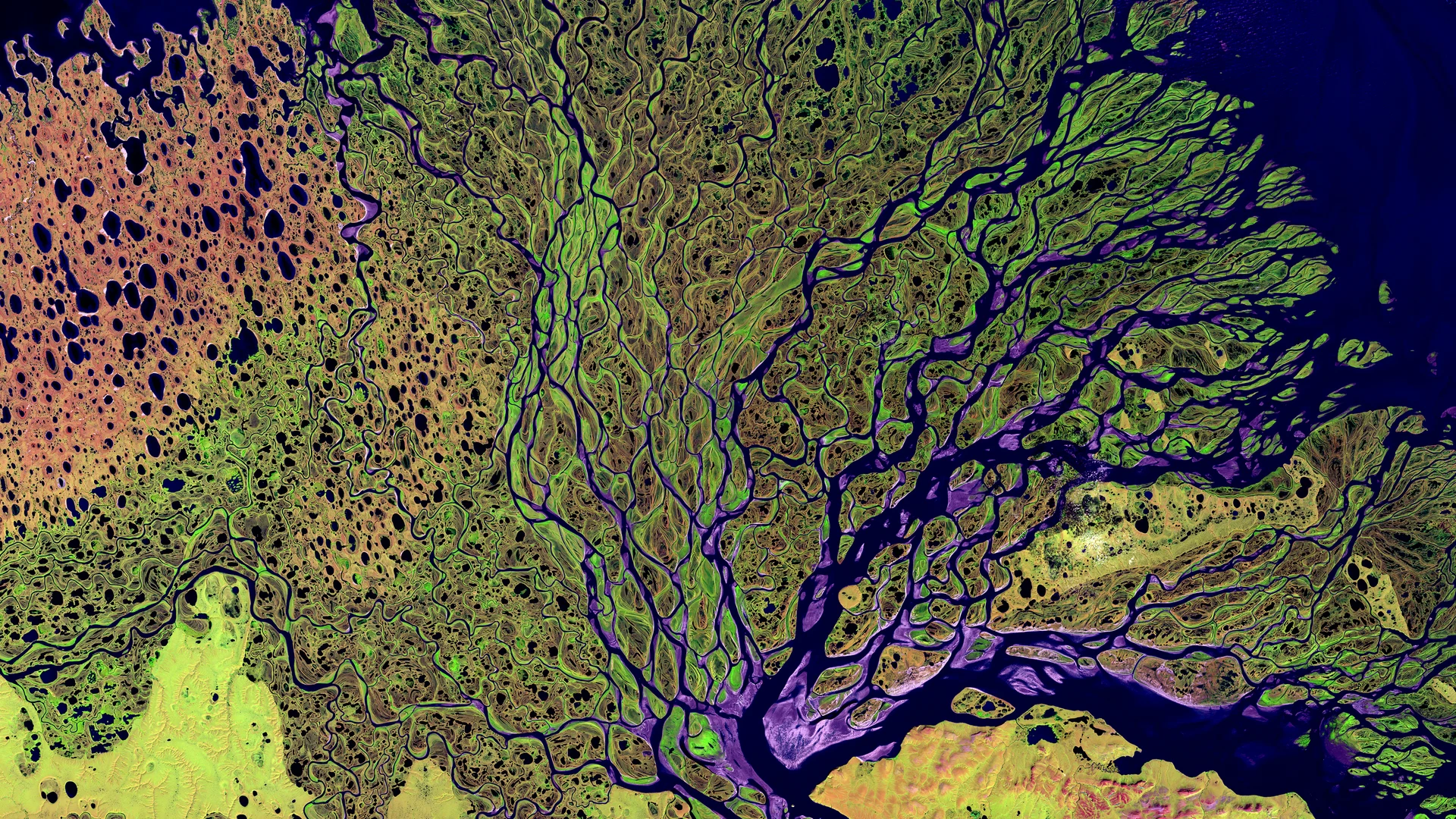 Lena Delta - free hd nature wallpaper for desktop