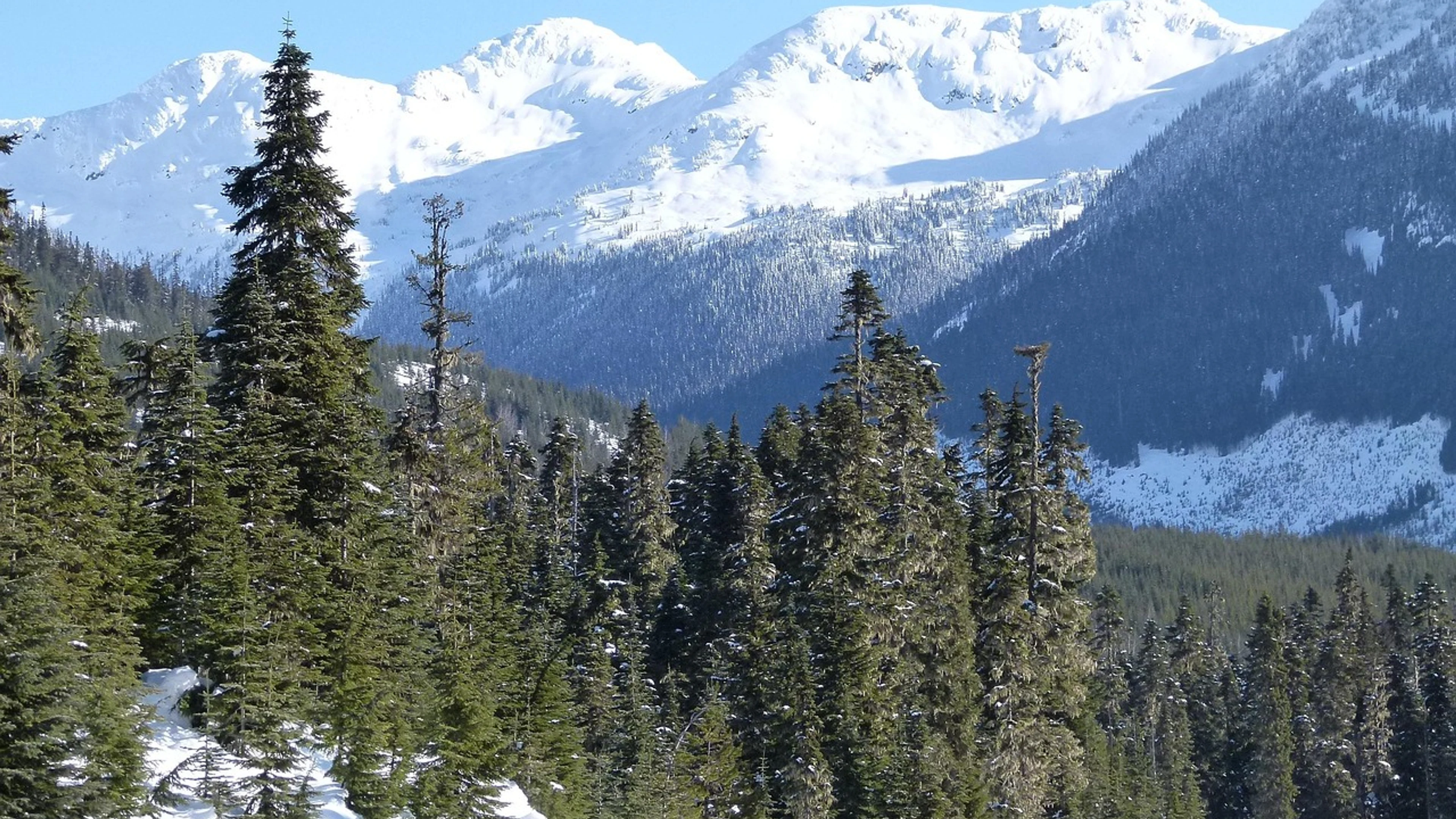 Lillooet snow covered mountain - free 4K Ultra HD nature wallpaper for desktop