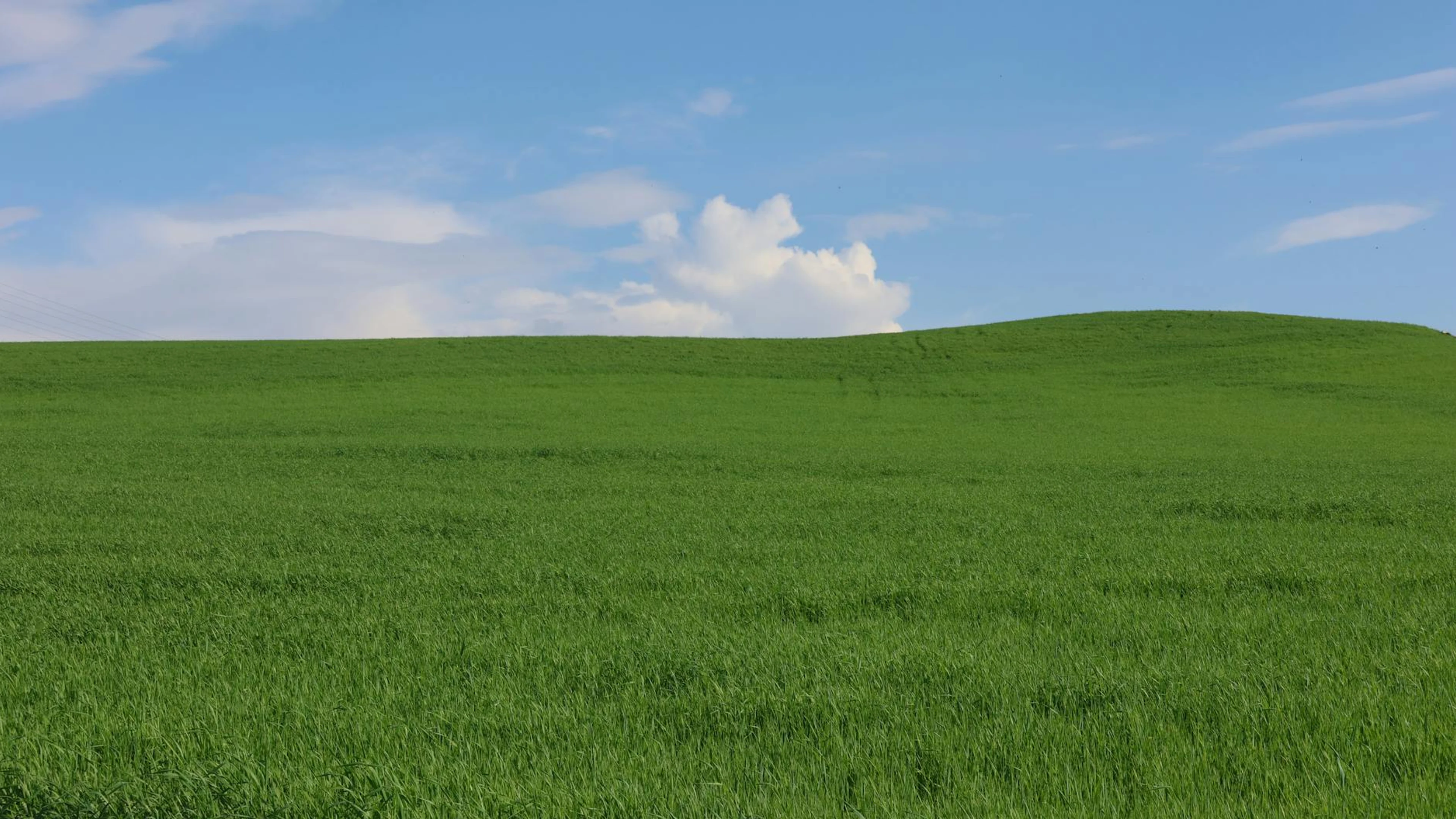 Lush green meadow under a blue sky with white clouds, perfect for nature themes. - free 4K Ultra HD nature wallpaper for desktop