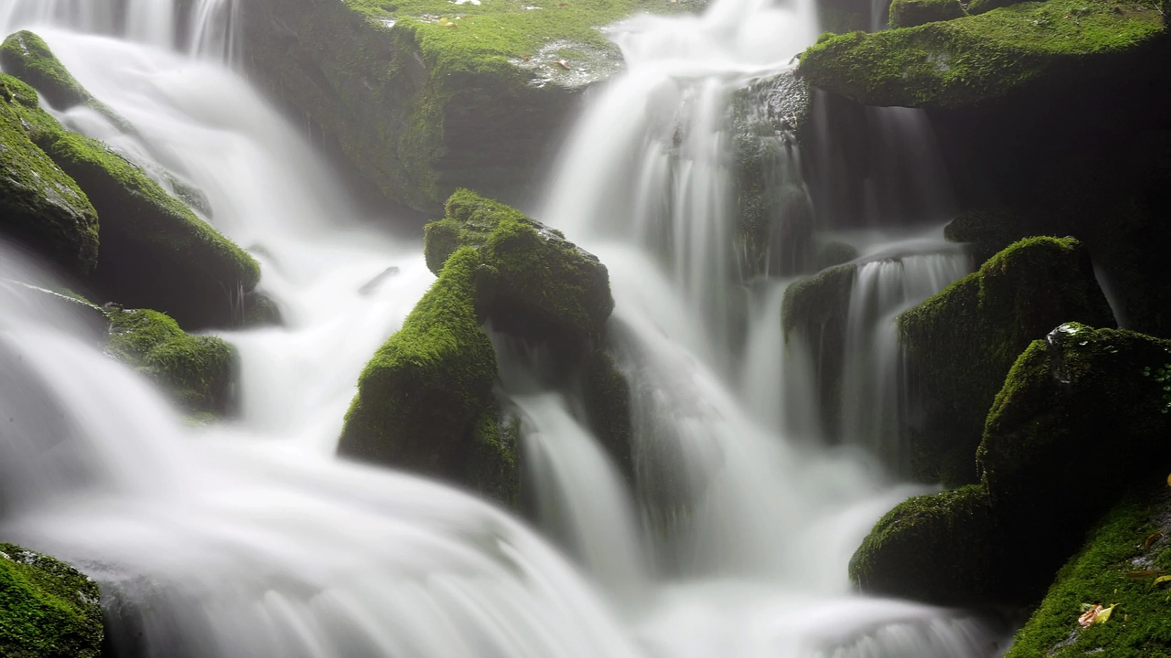 Moss brook water - free 4K Ultra HD nature wallpaper for desktop