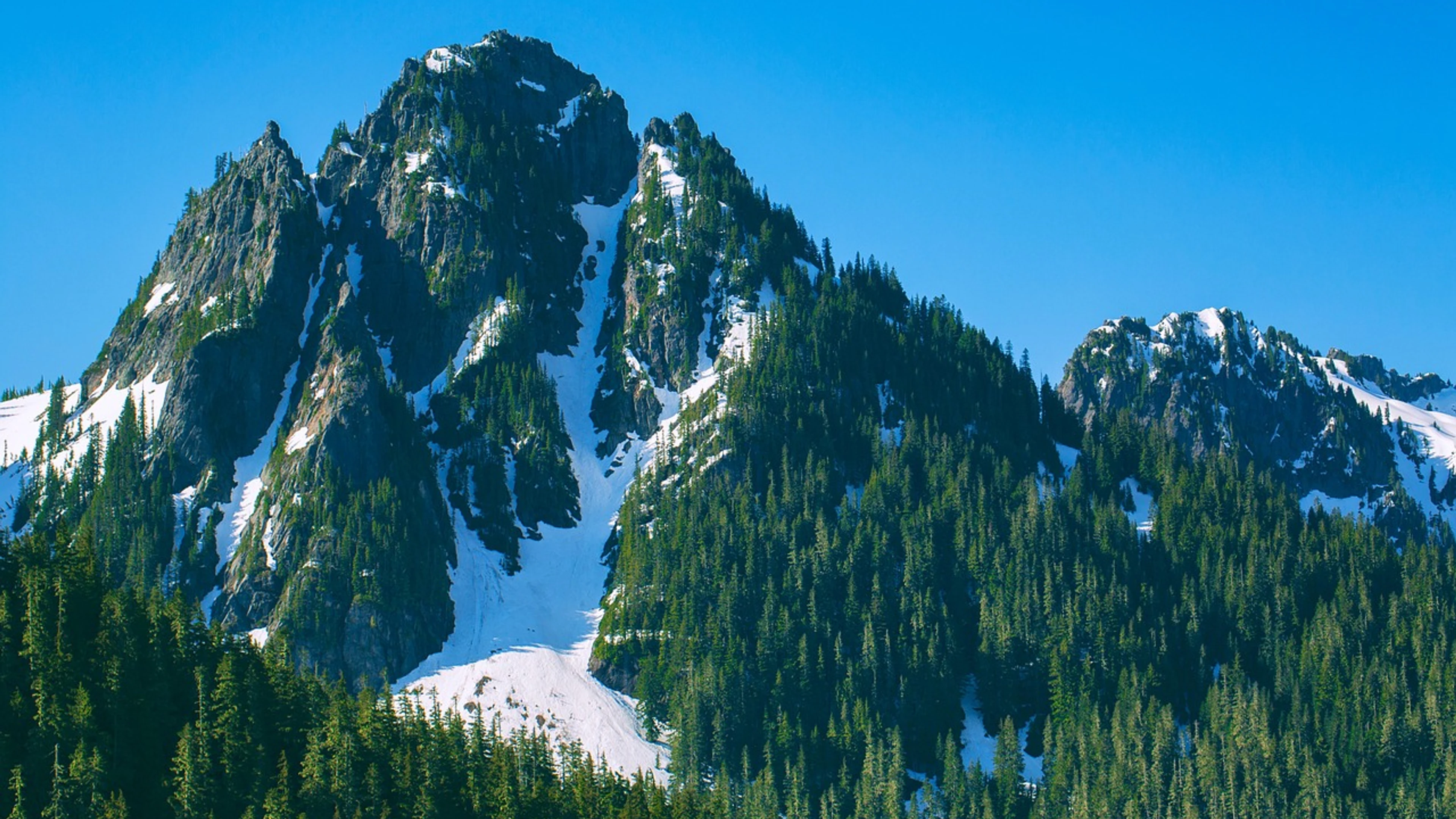 Mountains forest snow - free 4K Ultra HD nature wallpaper for desktop