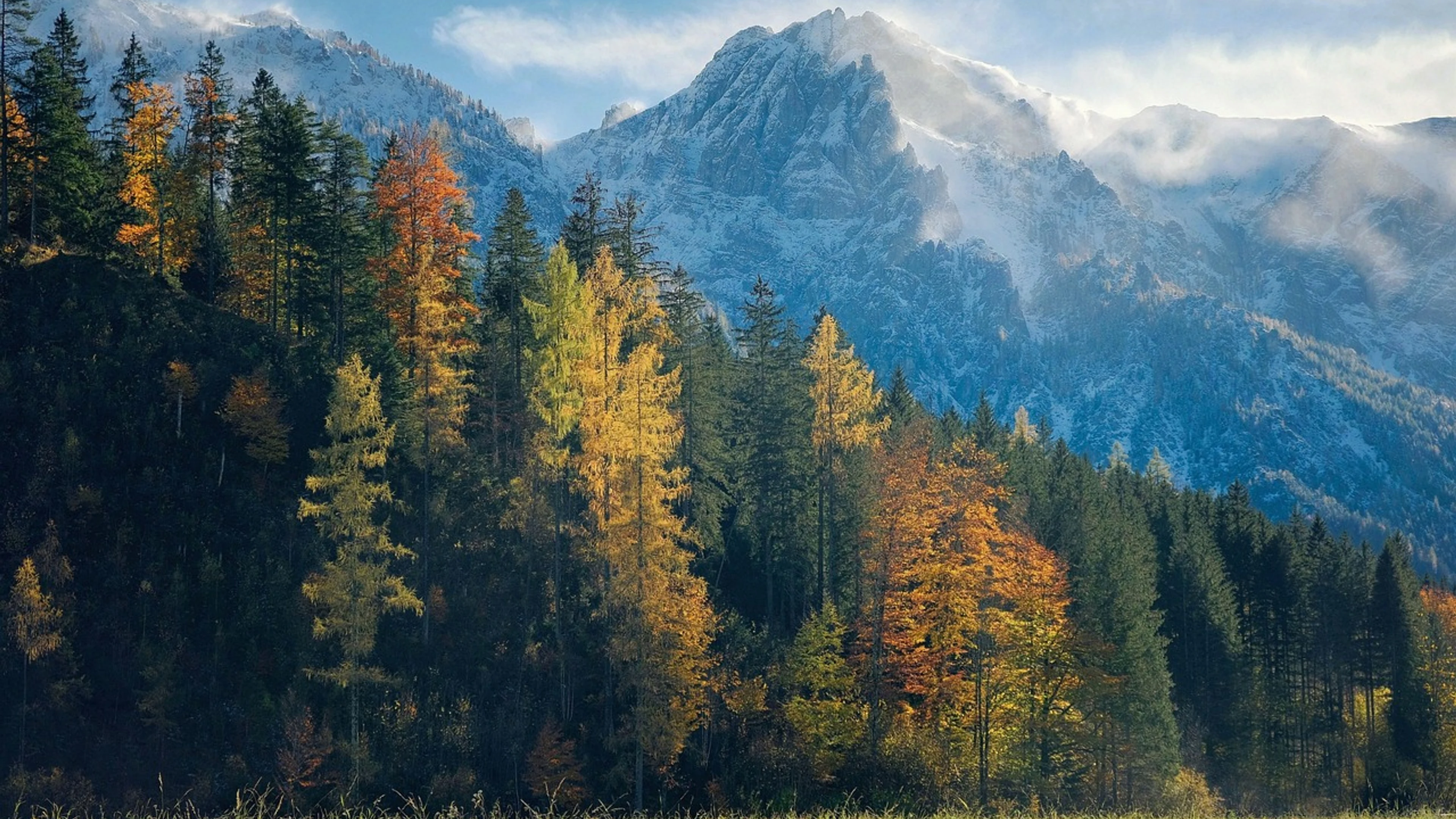 Mountains forest trees - free 4K Ultra HD nature wallpaper for desktop