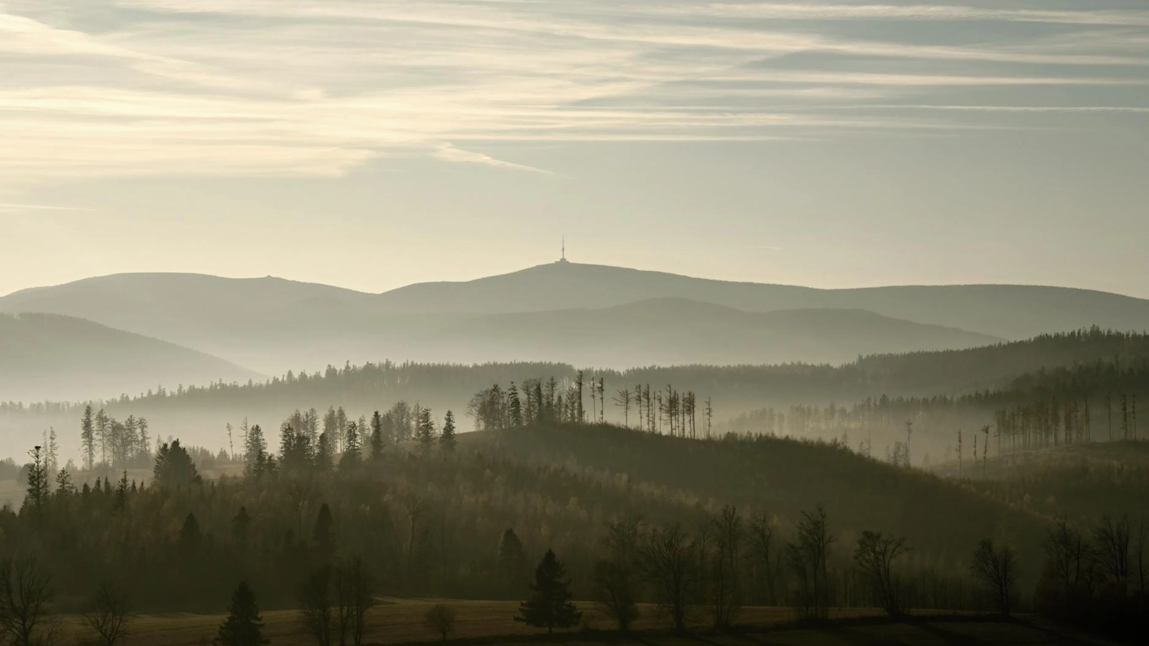 Peaceful misty morning landscape with silhouetted trees and distant hills under - free 4K Ultra HD nature wallpaper for desktop