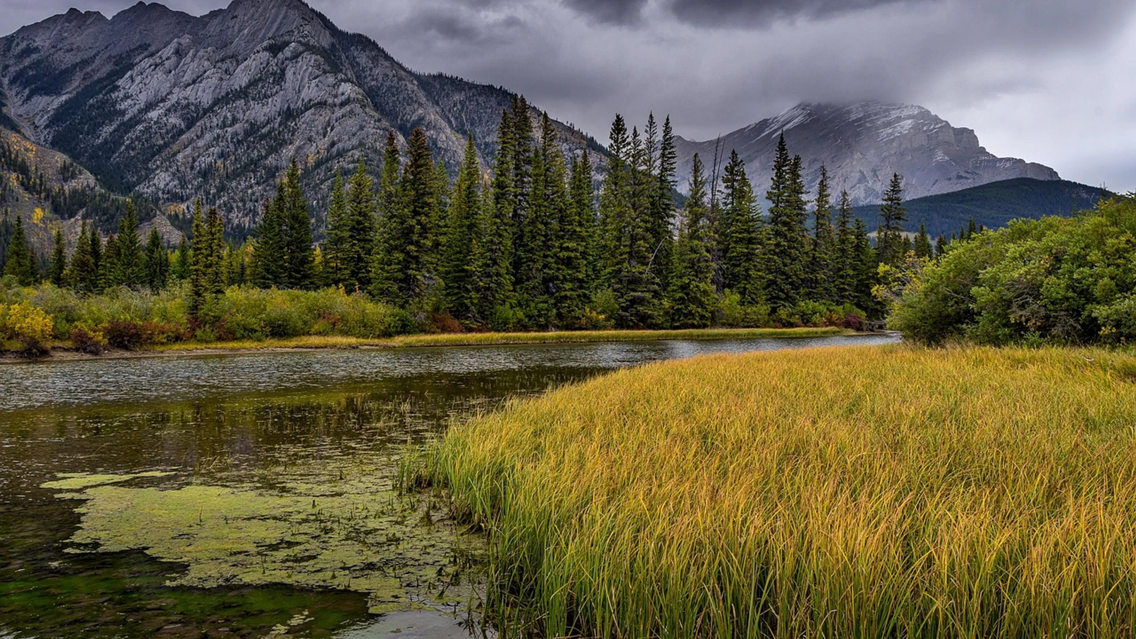River grass mountains - free 4K Ultra HD nature wallpaper for desktop