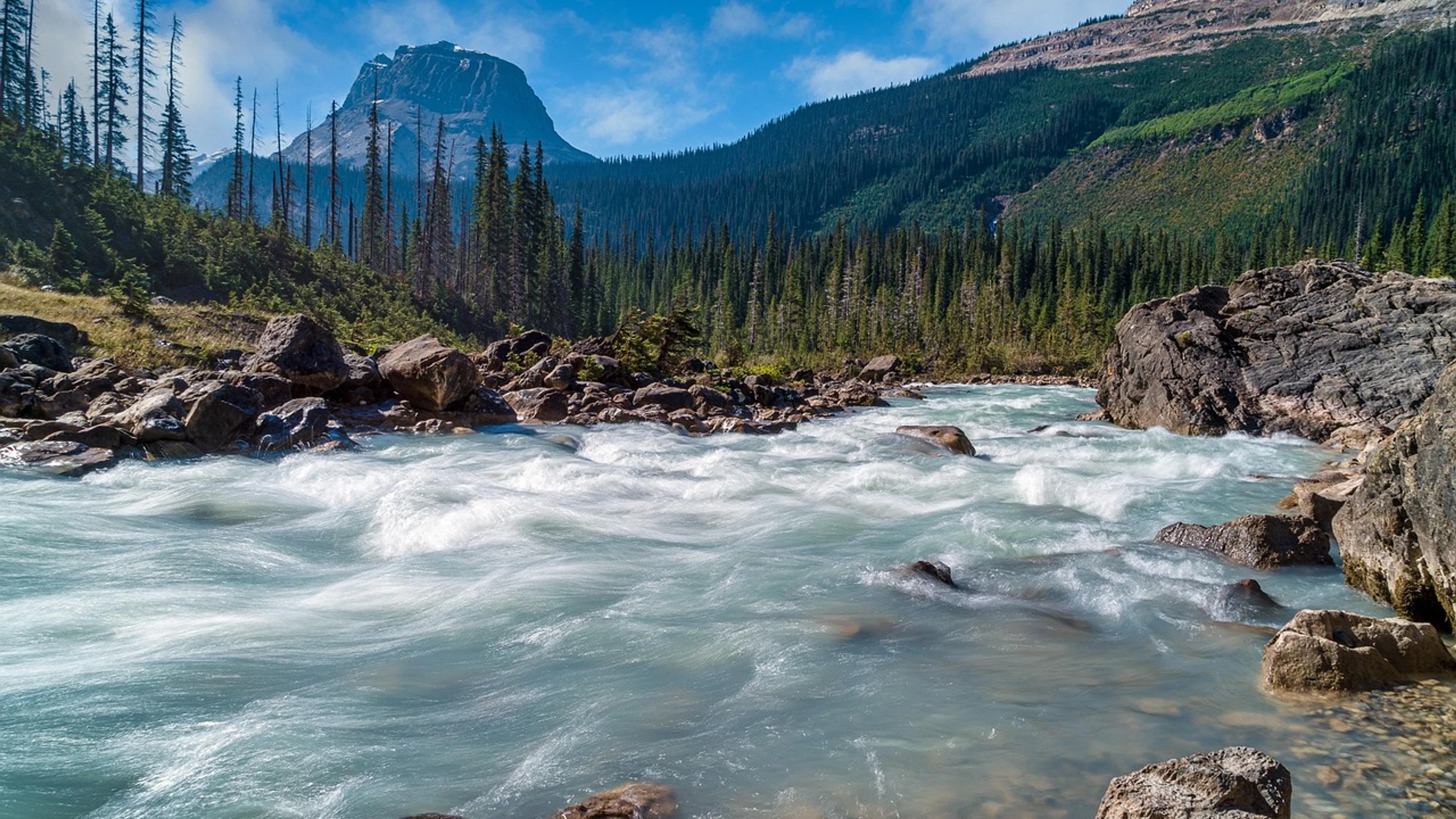River trees mountains - free 4K Ultra HD nature wallpaper for desktop