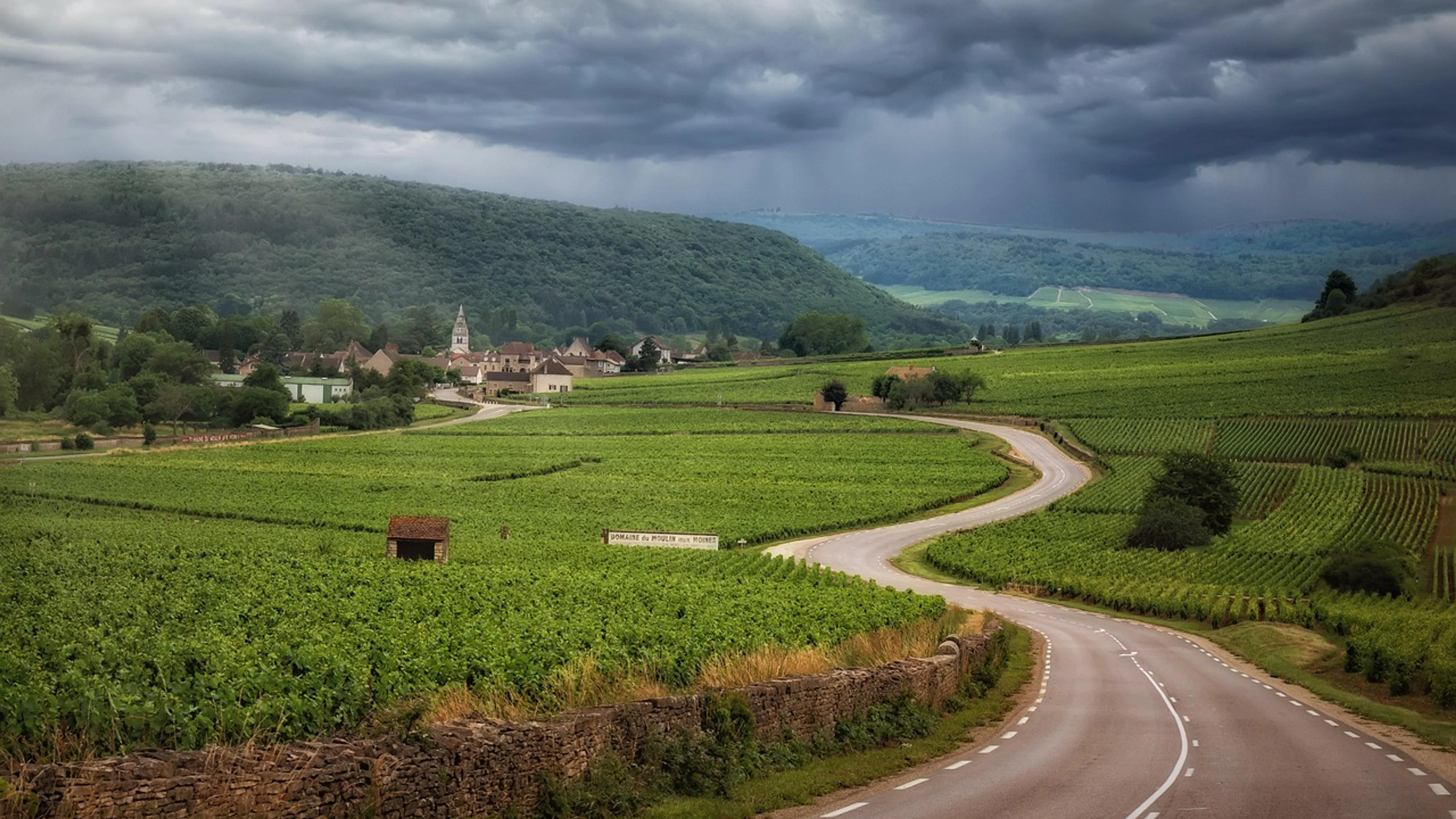 Road vineyards clouds - free 4K Ultra HD nature wallpaper for desktop